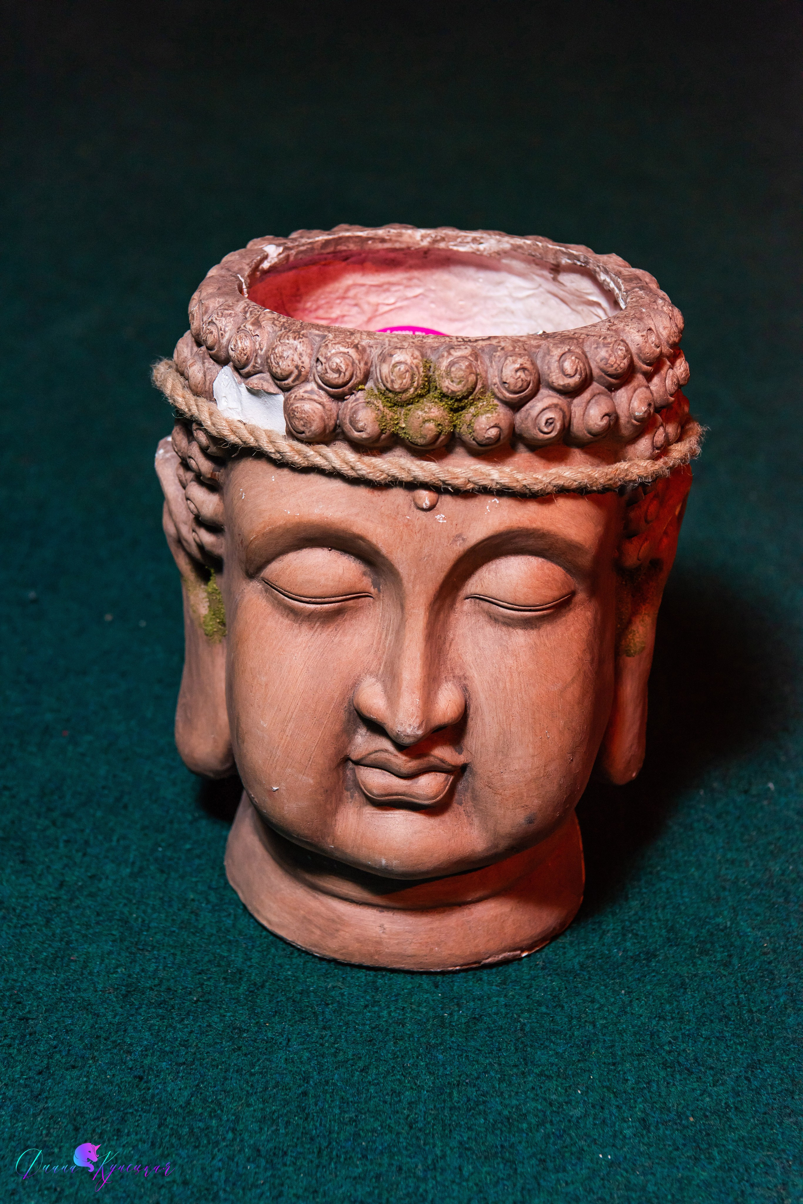 День Рождения Тимура. «Джуманджи Красногорск». Свадебный и арт-фотограф Кунецкая Диана