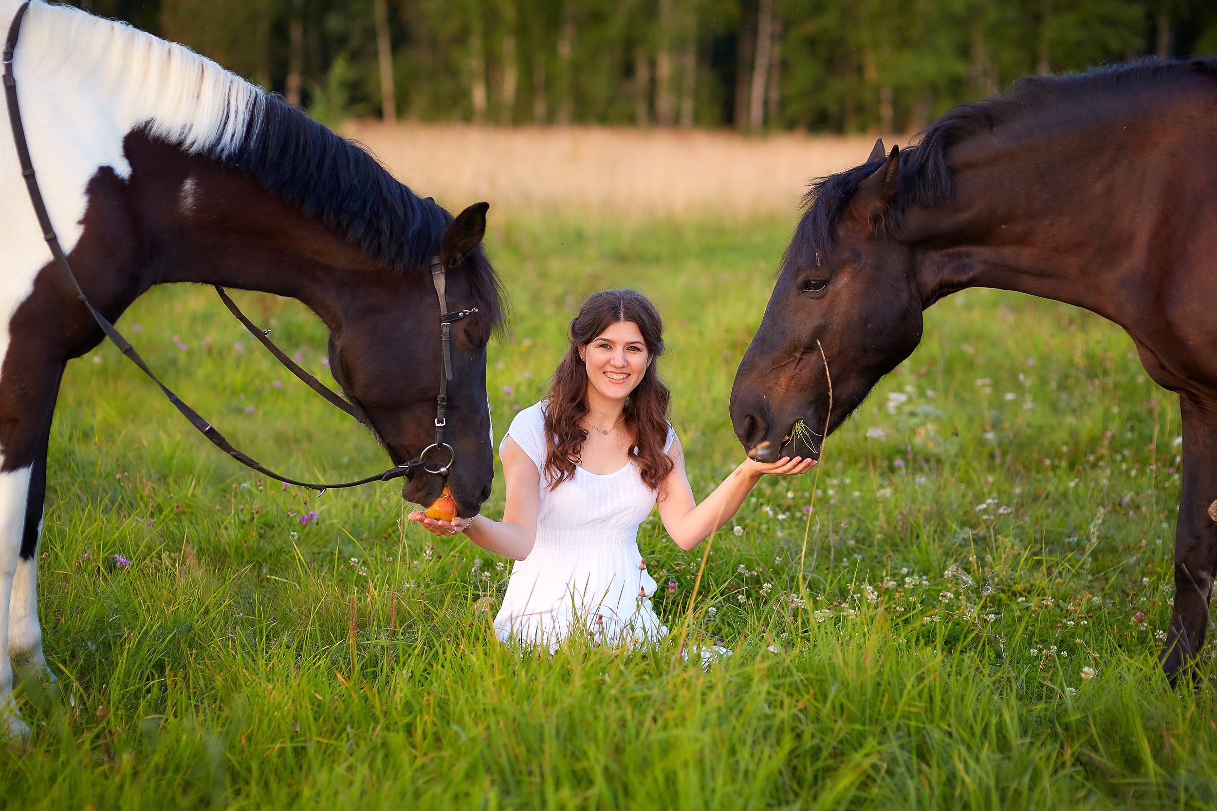 Фотосессия с лошадьми для Ирины. Фотограф Михаил Семенов