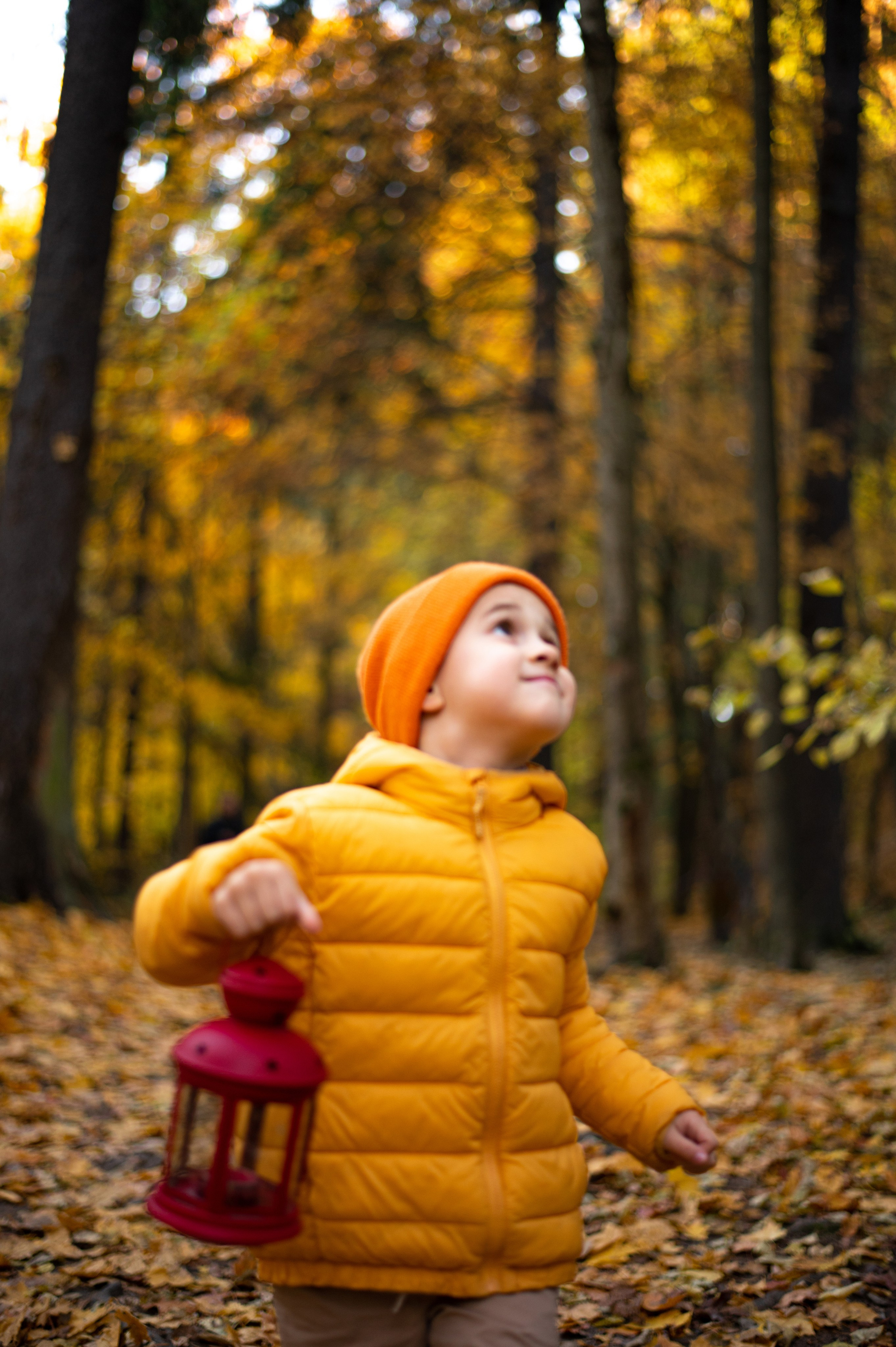 Осень в Шуваловском парке. Фотограф Санкт-Петербург | Дарья Першина