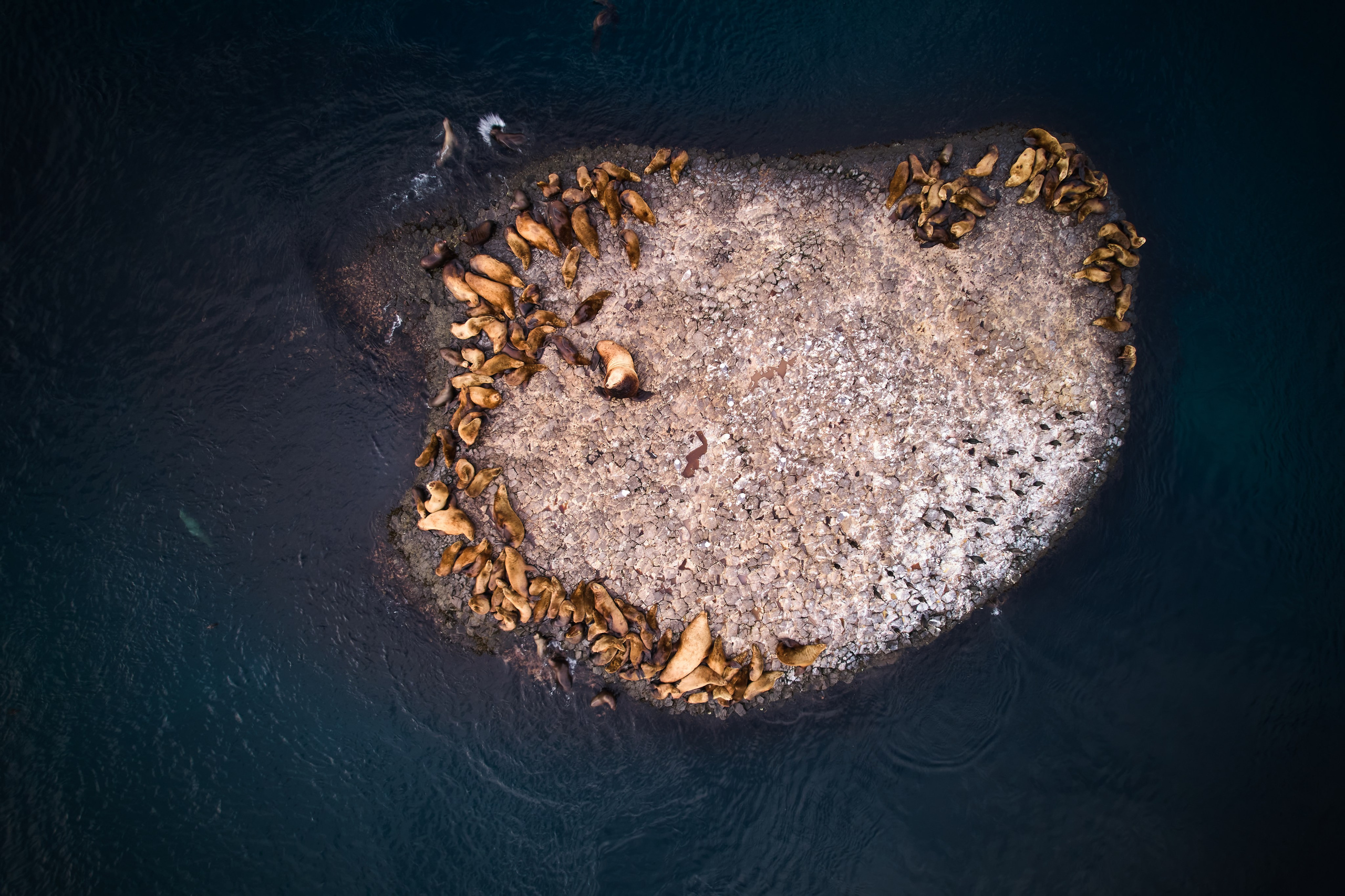 Камчатка + Сахалин — экспедиция в два региона за одну поездку. Время Камчатки: чтобы найти свой путь, нужно скорость умножить на время