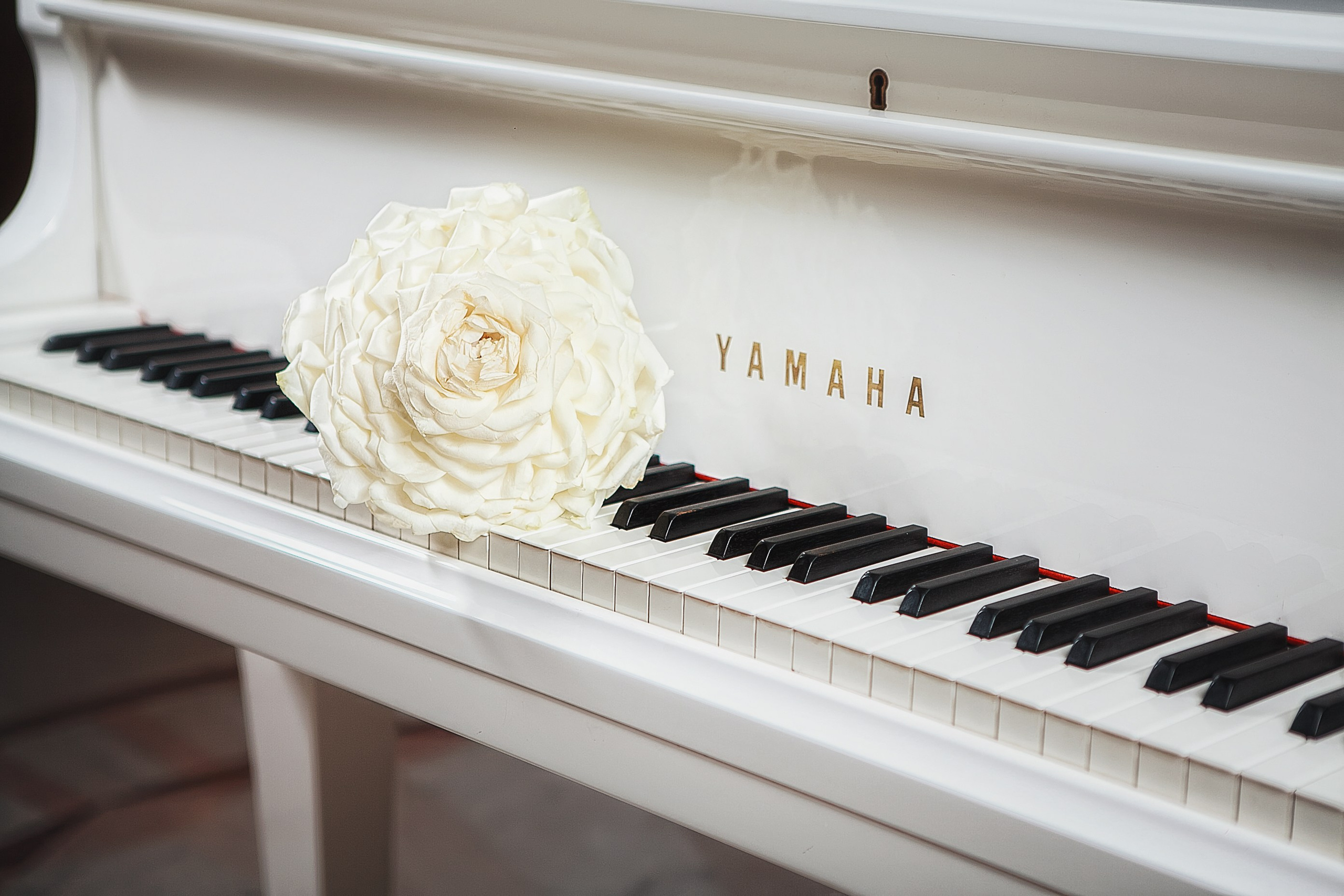 Свадебная фотосессия (МСК). Фотограф Константин Калачёв