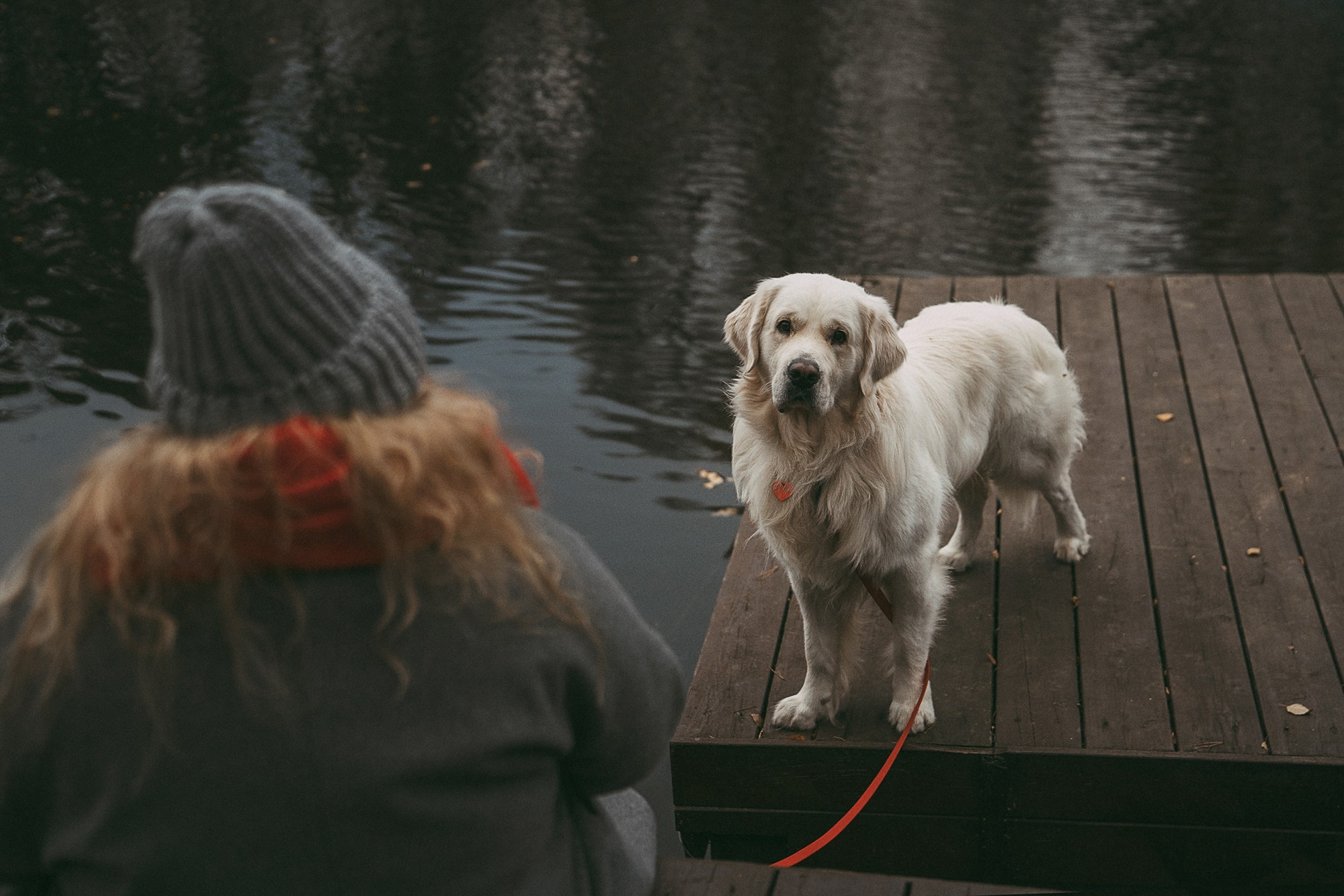 Лена и Мерлин. Фотограф анималист в Москве и Санкт-Петербурге Свиридова Анна