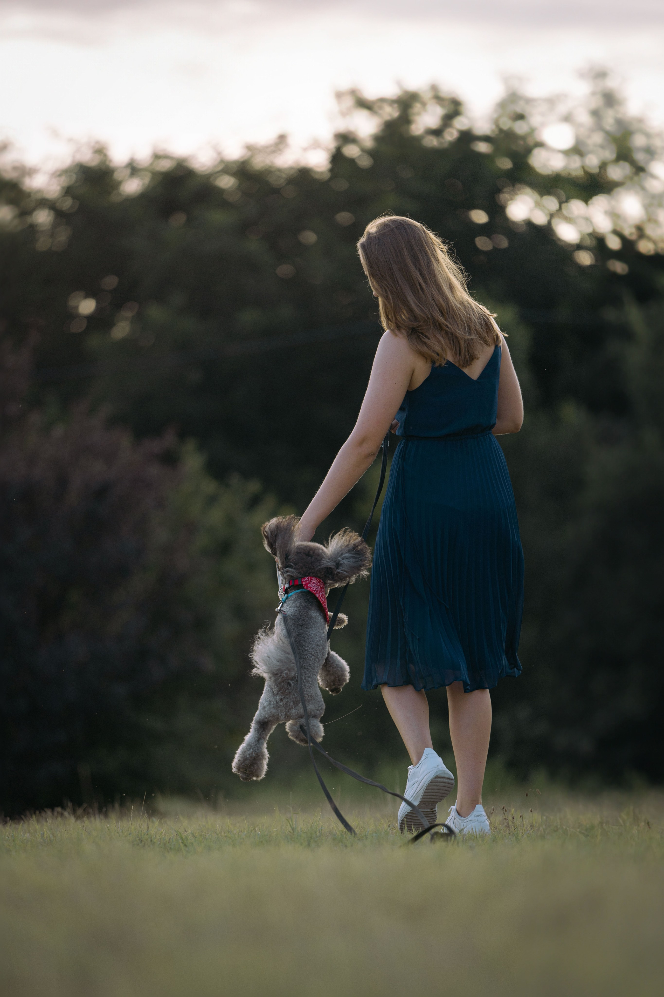 В Белграде на набережной. Фотограф анималист