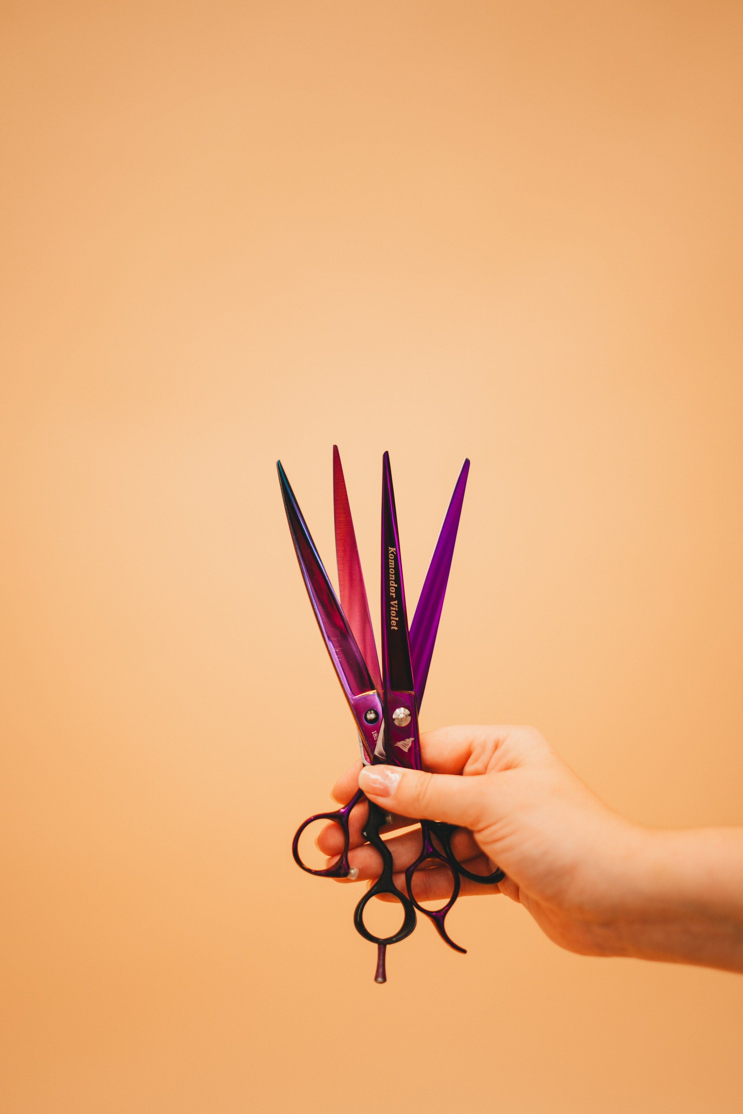 Груминг — салон. Фотограф анималист Осипчикова Мария