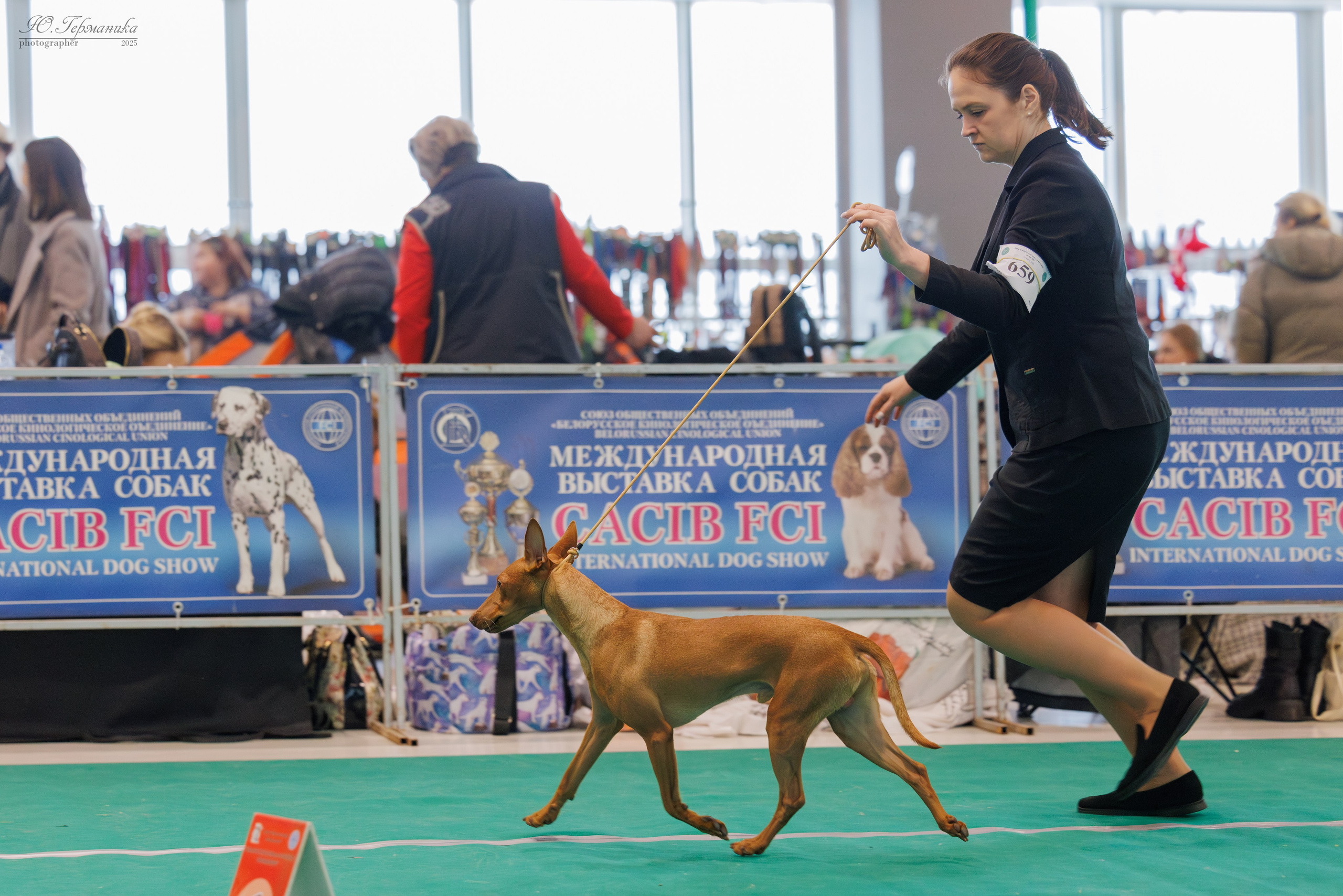 Минск 1-2.03.2025. Фотограф-анималист Юлия Германика