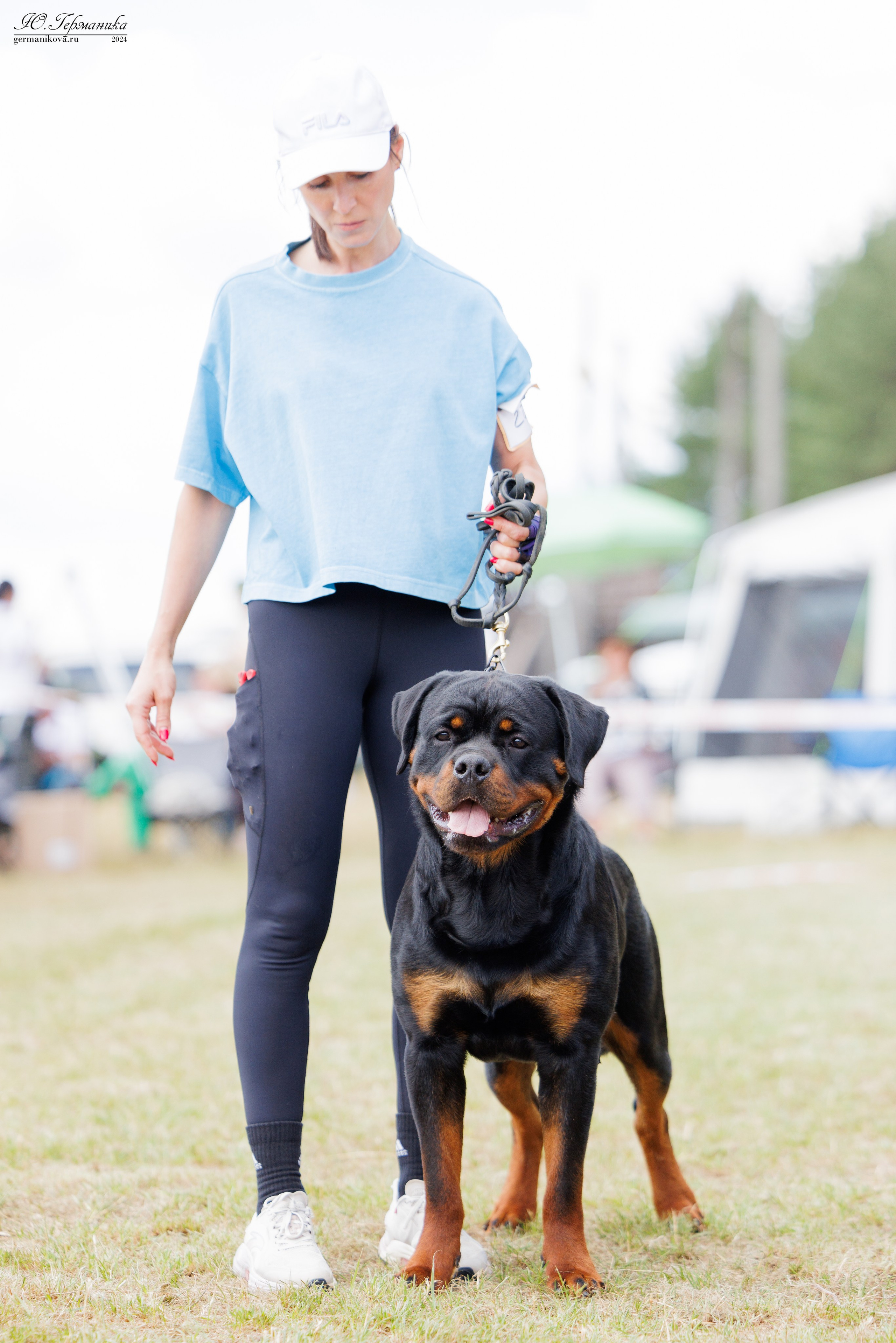 ПК и КЧК ротвейлеры Тверь 6-7.07.2024. Фотограф-анималист Юлия Германика