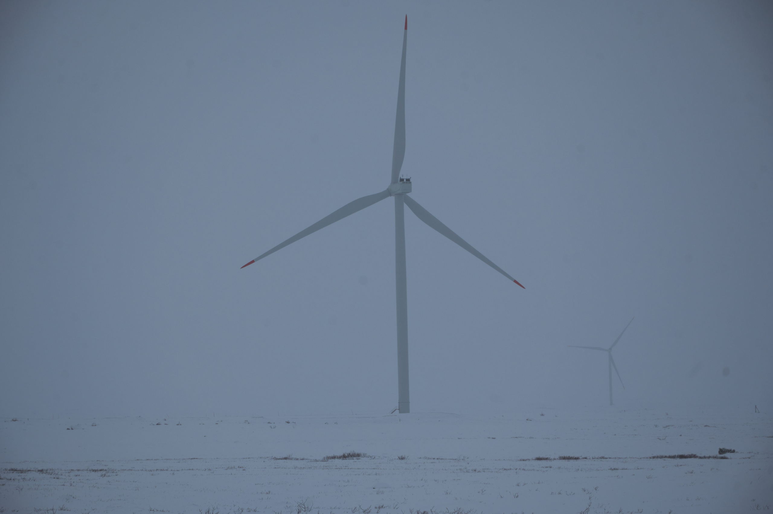 Териберка. Ноябрь 2023. Фотограф Роман Адлер