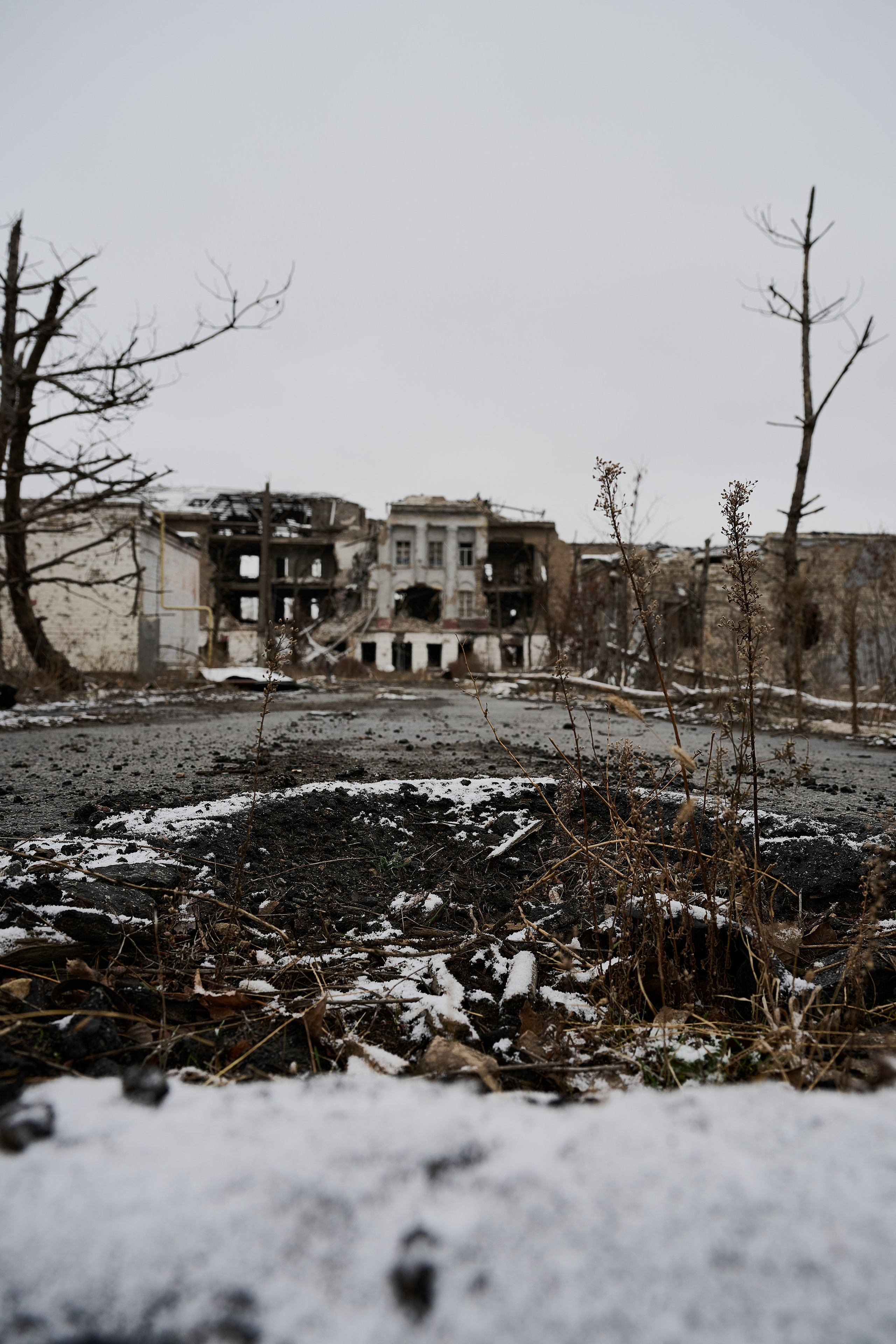 Северодонецк (Луганская область). Декабрь 2024. Фотограф Роман Адлер