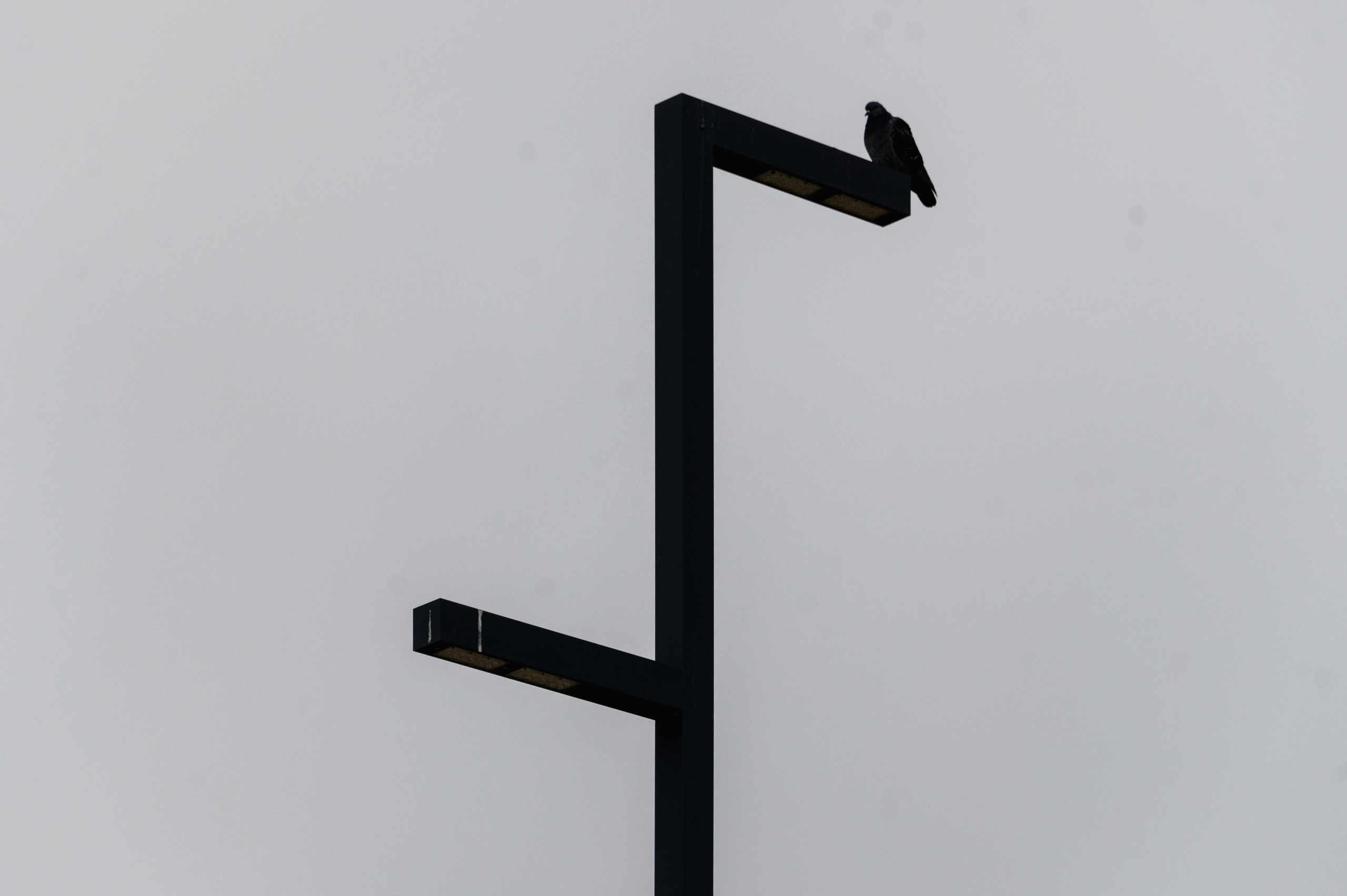 Пенза. Ноябрь 2023. Фотограф Роман Адлер