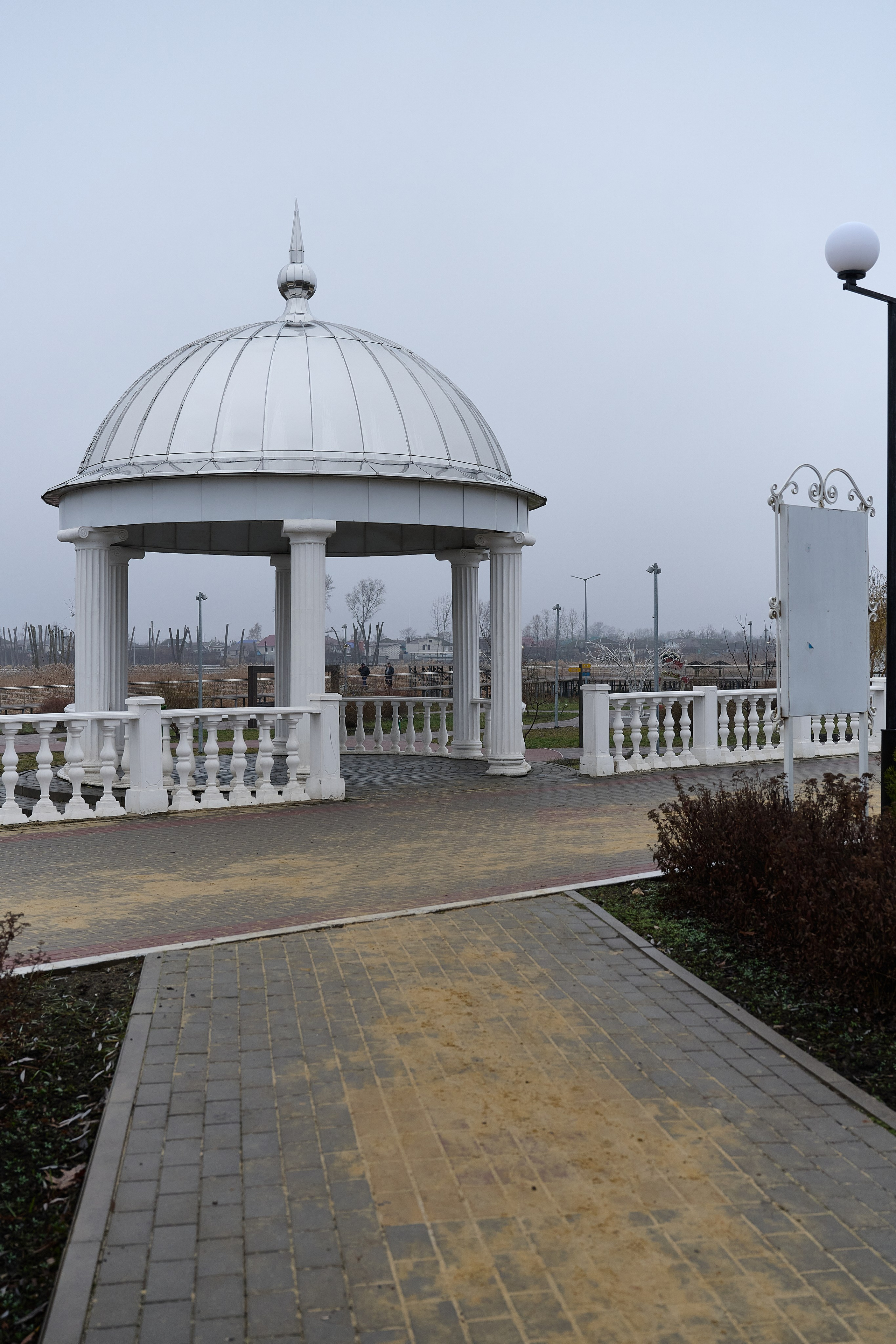 Дорога домой. Туман. Фотограф Роман Адлер