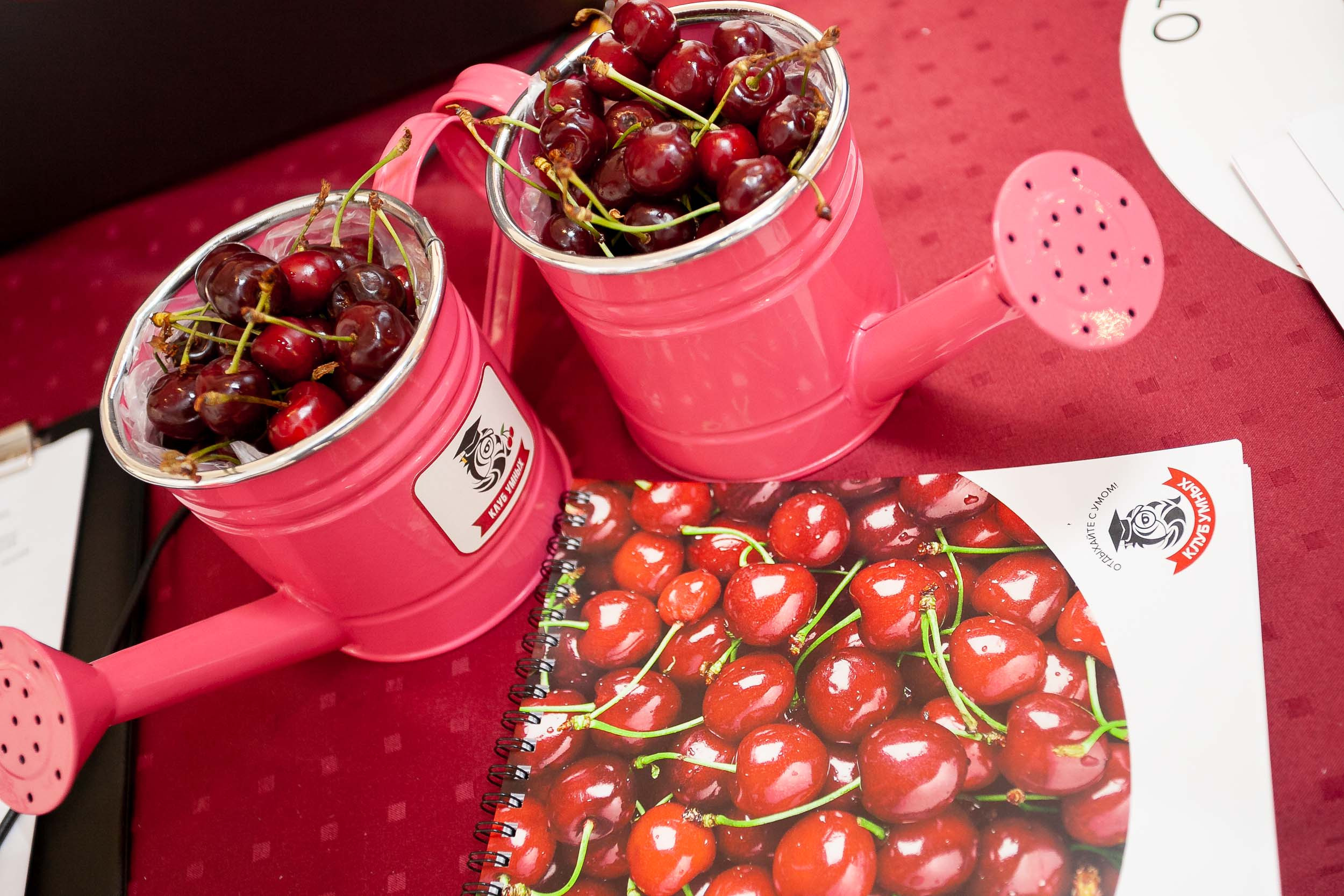 Фотосъемка квиза