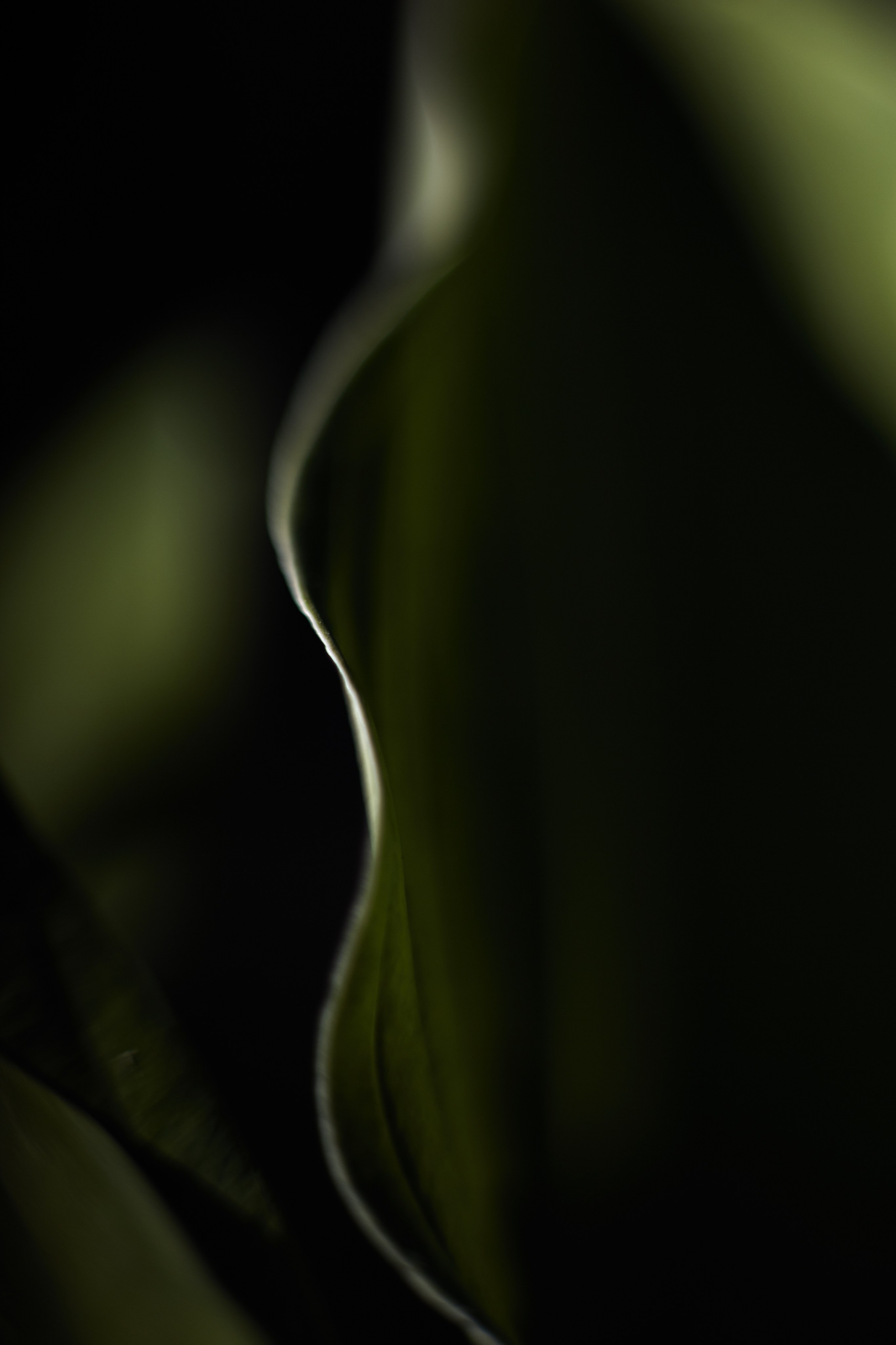 Art пейзаж. Фотограф Анастасия Федорова  Санкт-Петербург