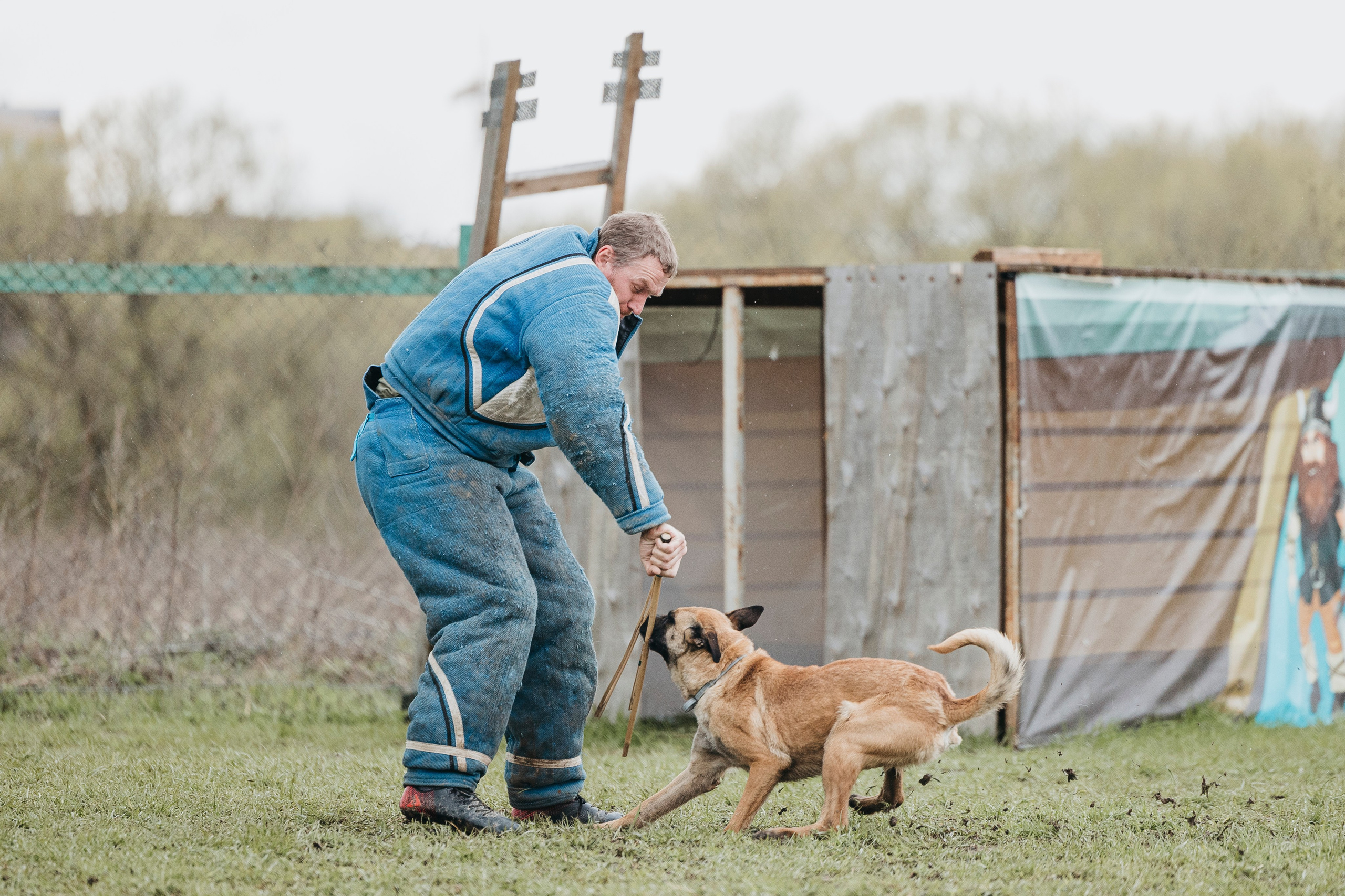 09.05.25 Вологда соревнования. Фотограф-анималист Анна Маринич