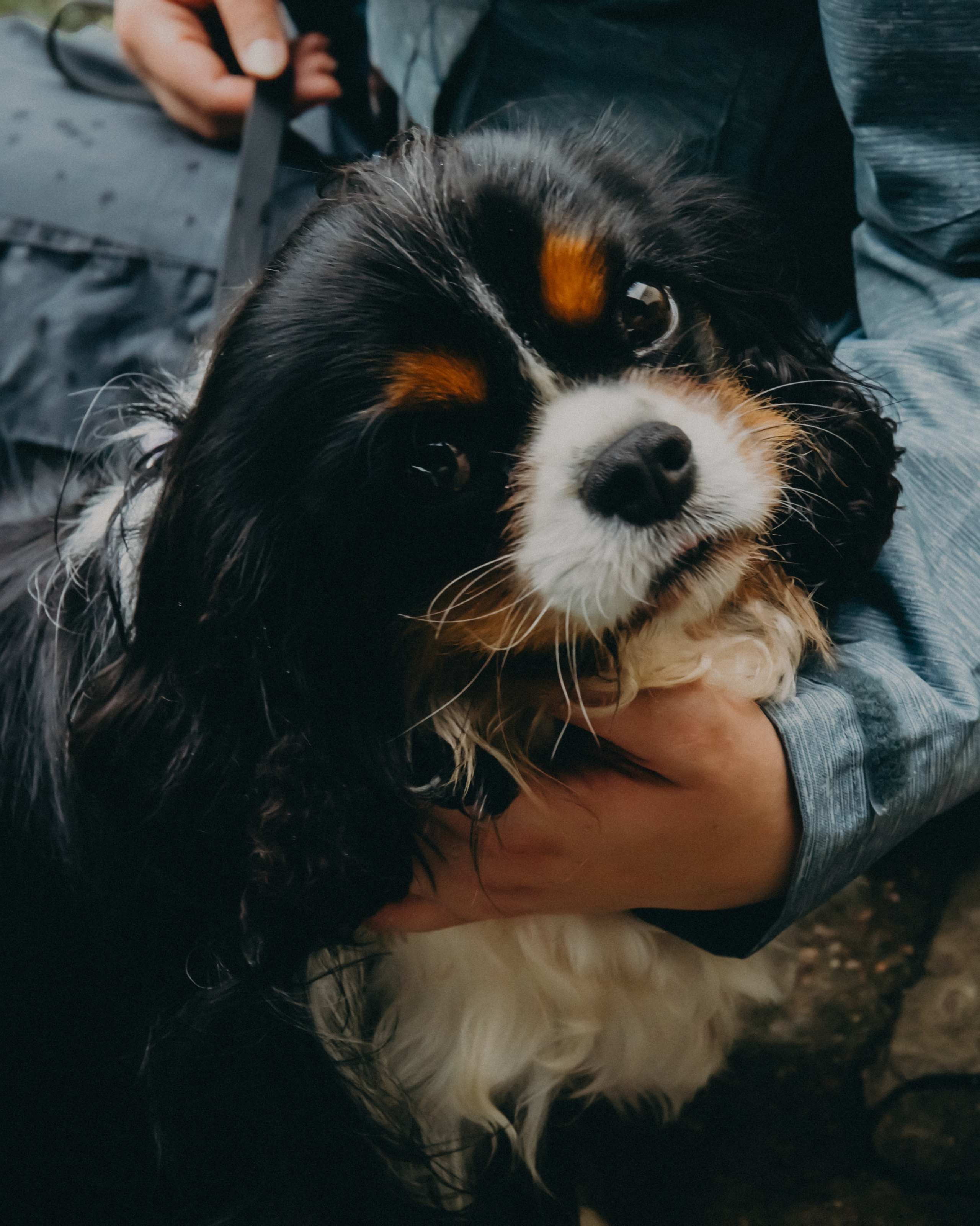Гилдин. Портретный фотограф Ванинен Анастасия. Санкт-Петербург