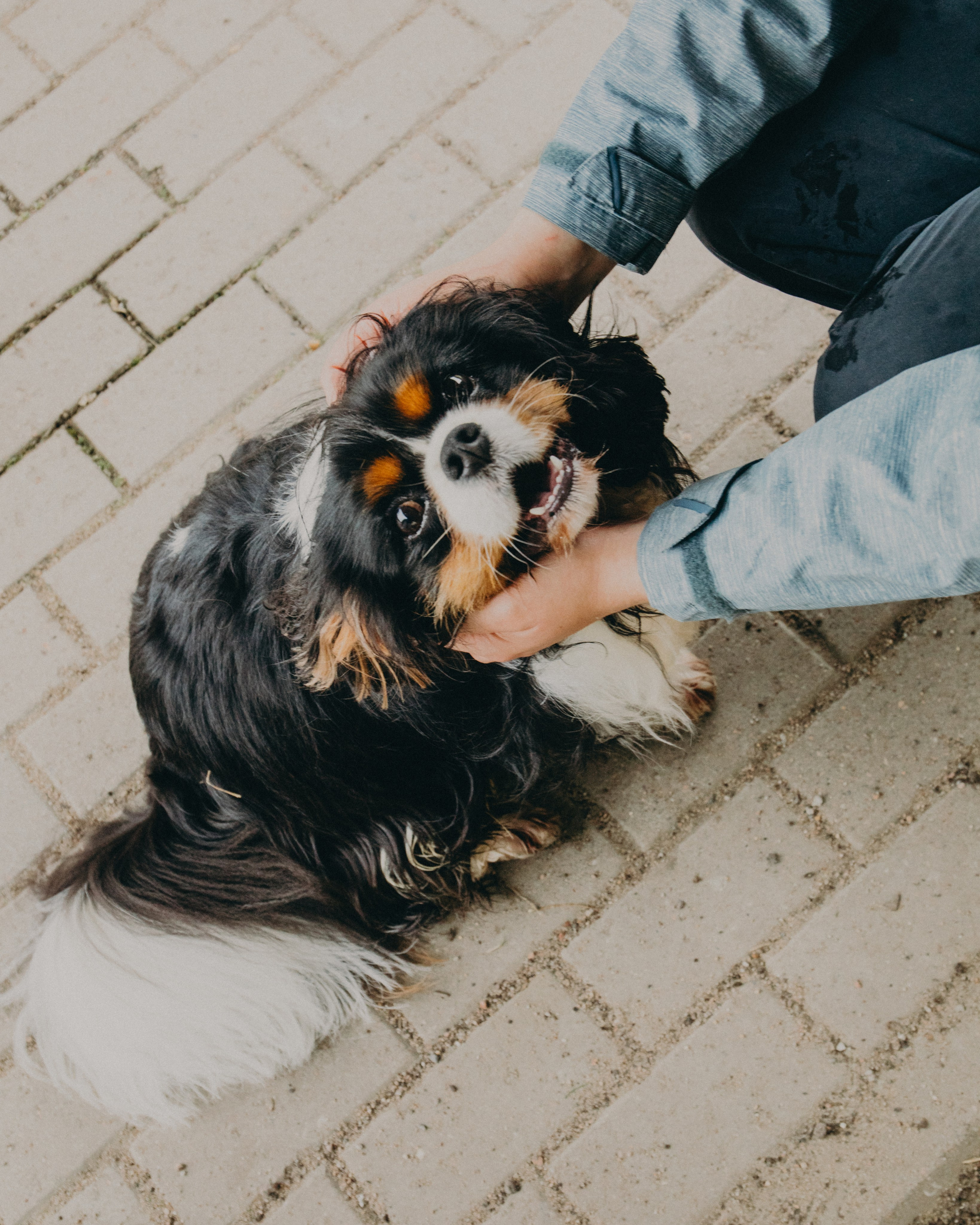 Гилдин. Портретный фотограф Ванинен Анастасия. Санкт-Петербург
