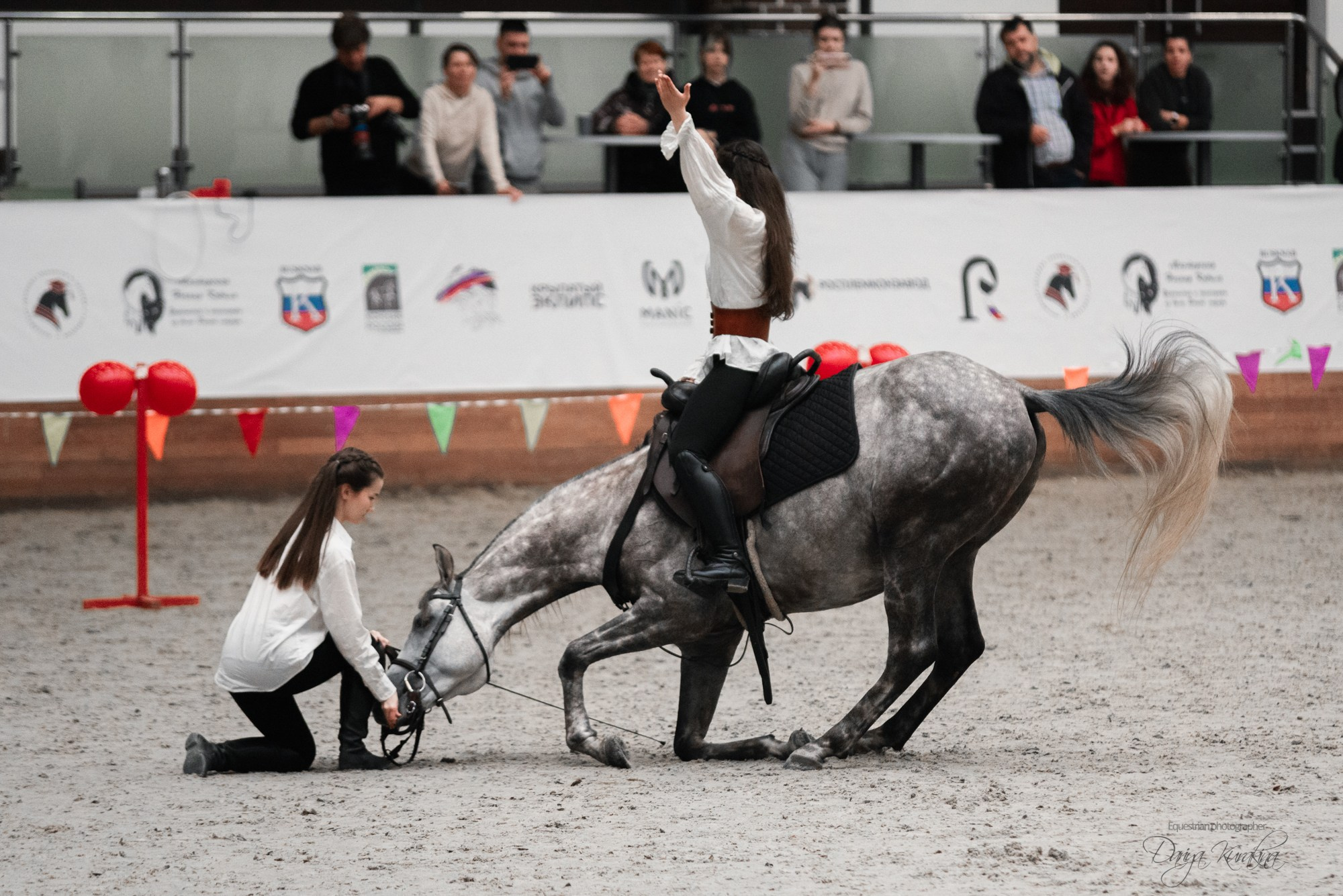 8-я международная выставка Конная Россия. Конный фотограф Куракина Дарья • Фотосессии с лошадьми