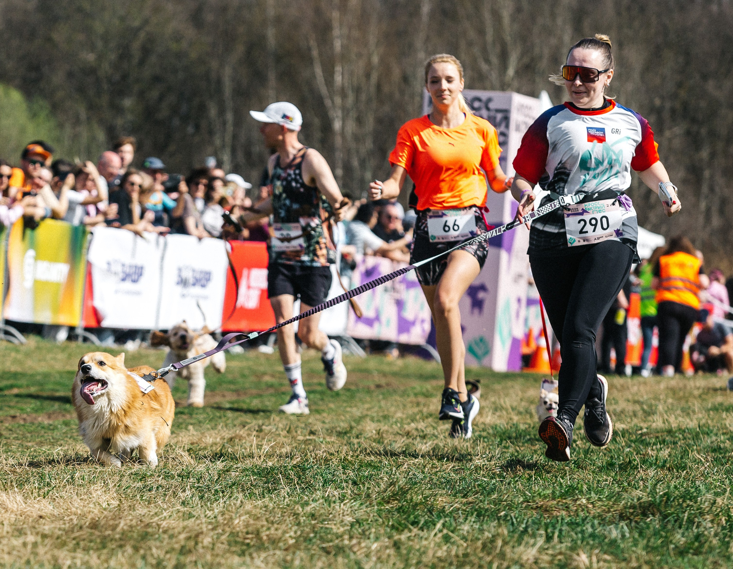 Кросс «Быстрый пёс» 2025. Репортажный фотограф в Москве