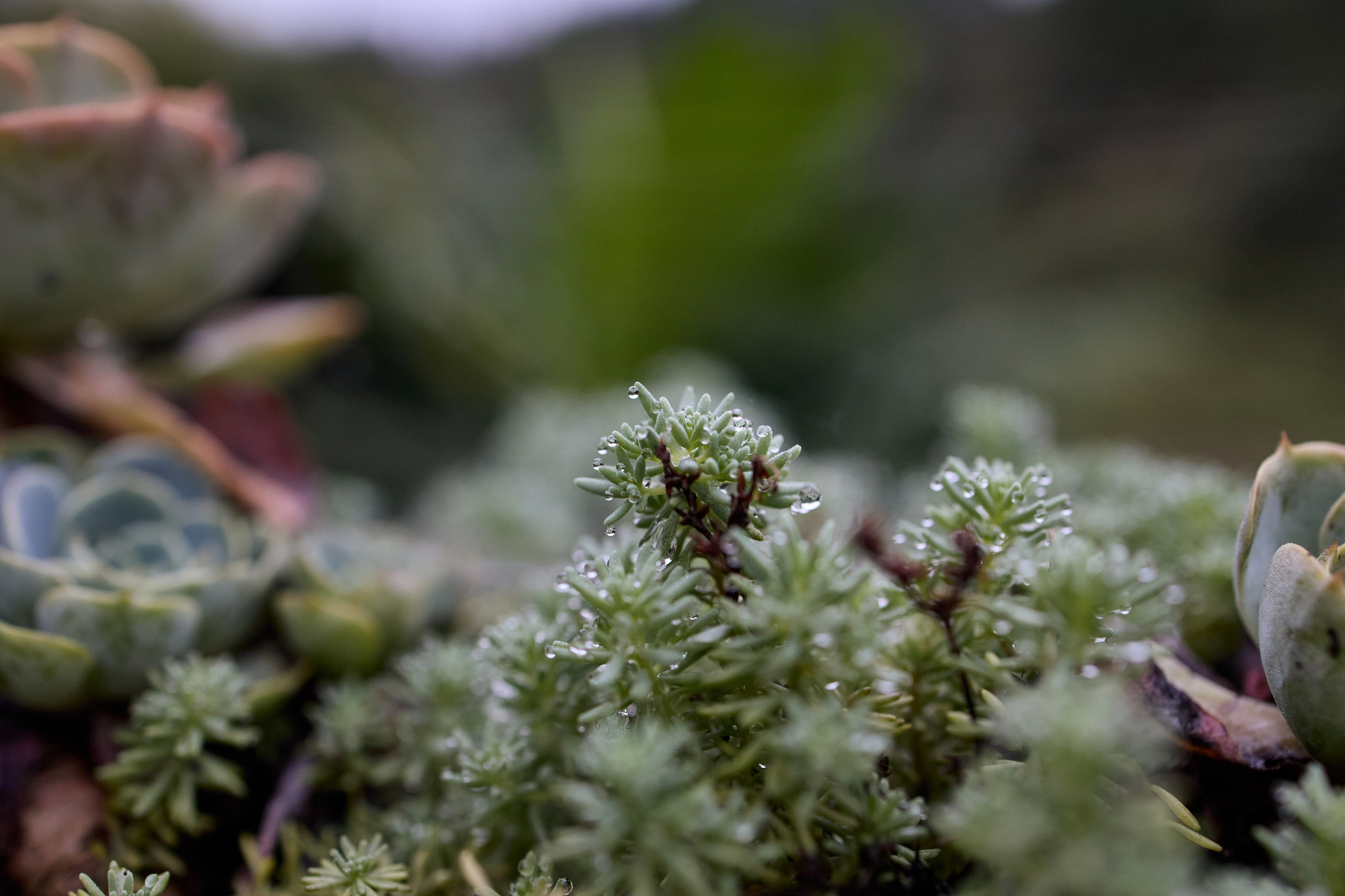 Китай. Хороший репортажный и промышленный фотограф в Казани Алексей Щелконогов