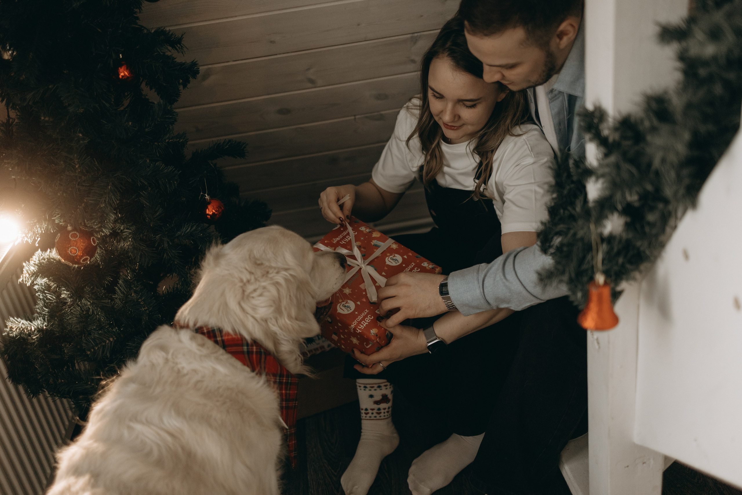 Оливер и его семья. Фотограф — Анималист | Санкт-Петербург