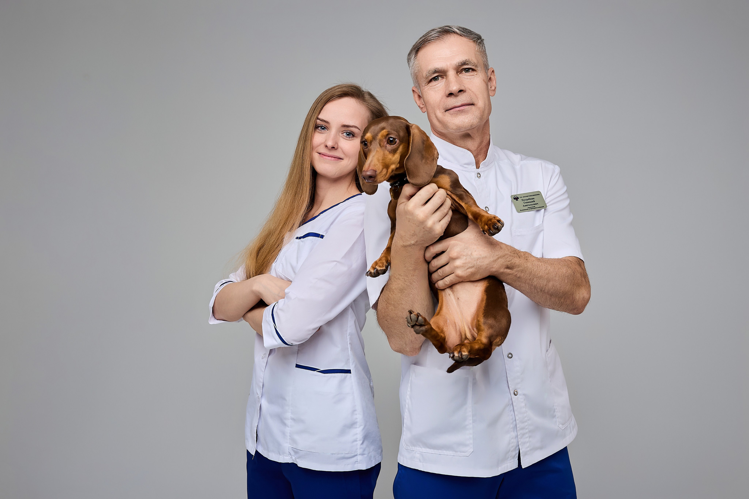 Контент для ветеринарного лендинга правительства Москвы. Фотограф и Видеограф в Москве. Олег Корушев