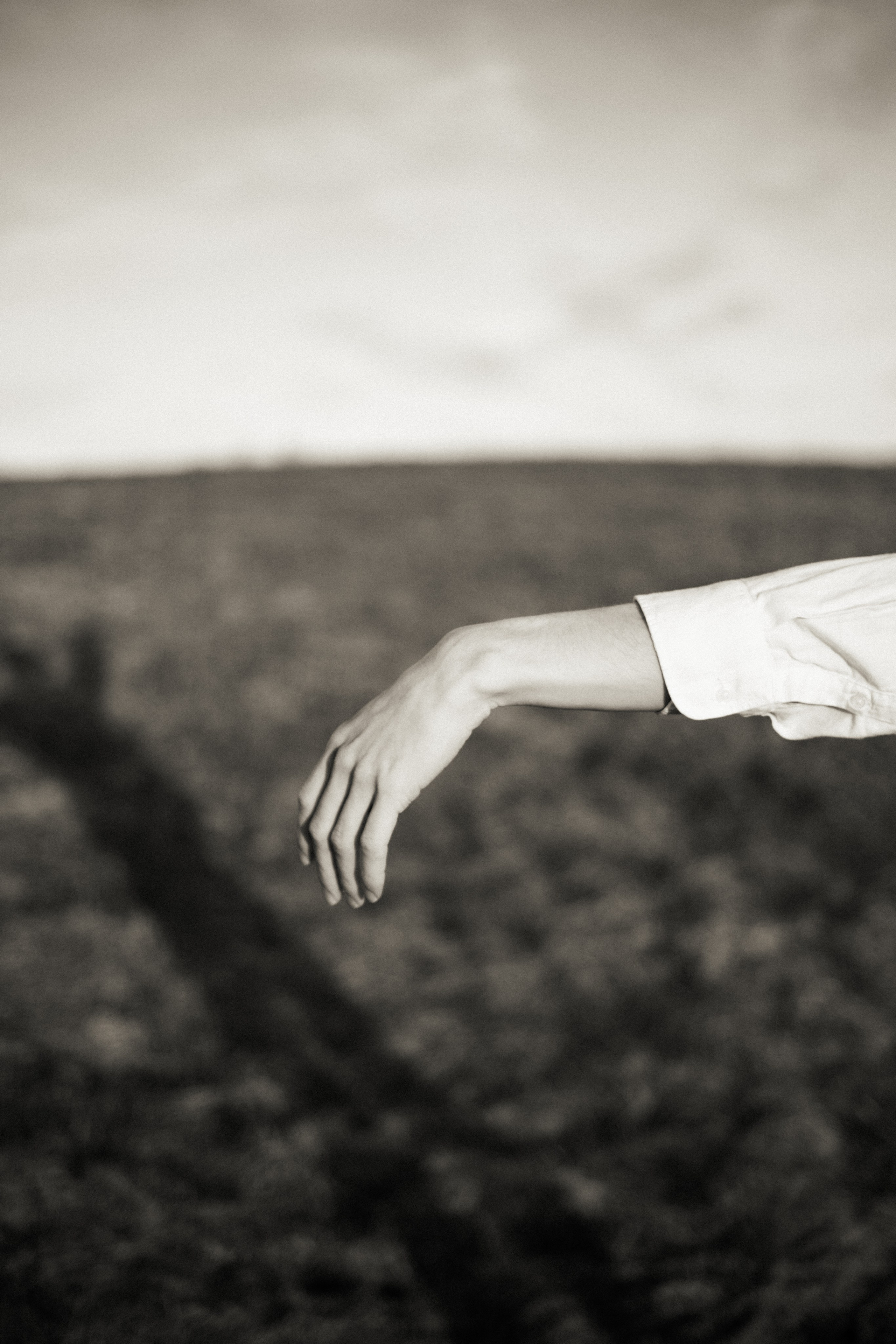 Андрей. Съёмка в поле. Lickord