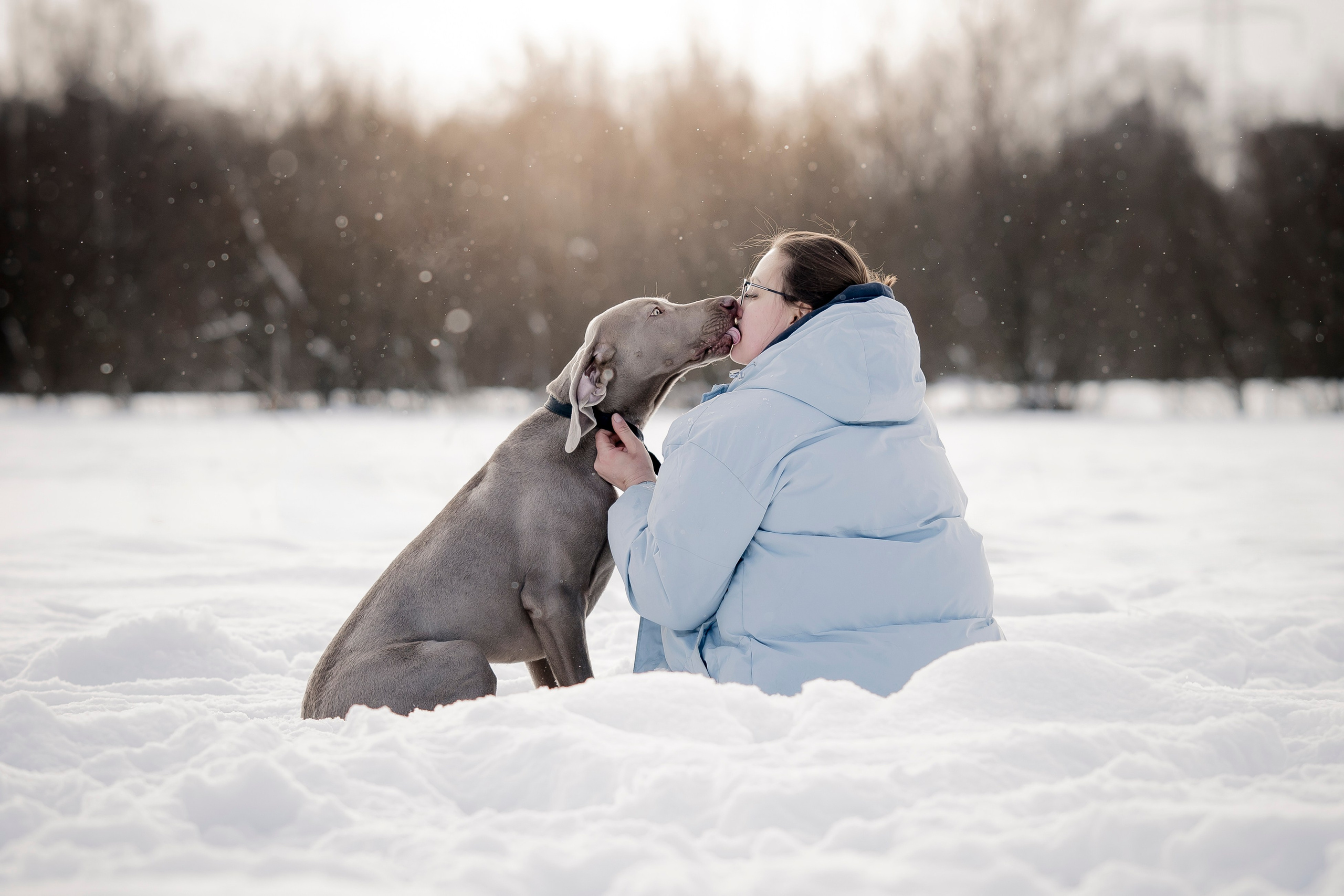 Фотопрогулка с красивой собакой. Фотограф анималист в Санкт-Петербурге Таша Крейв
