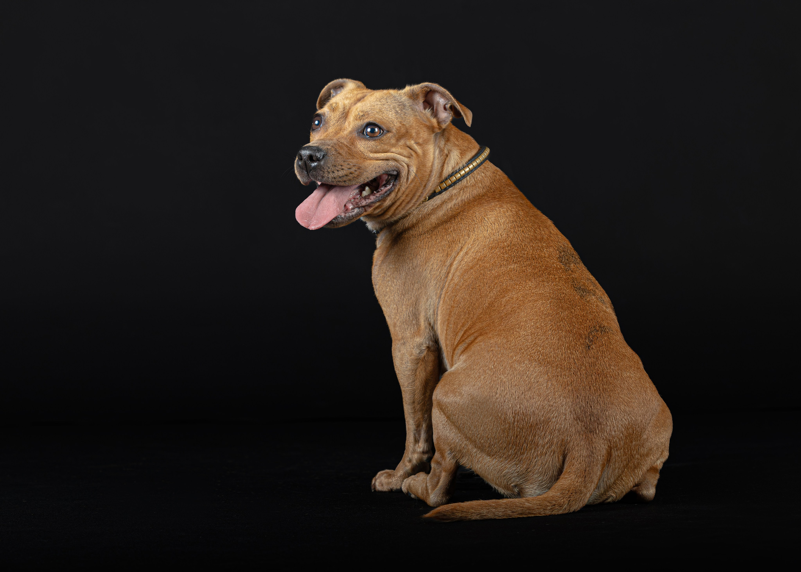 Студия. Главная