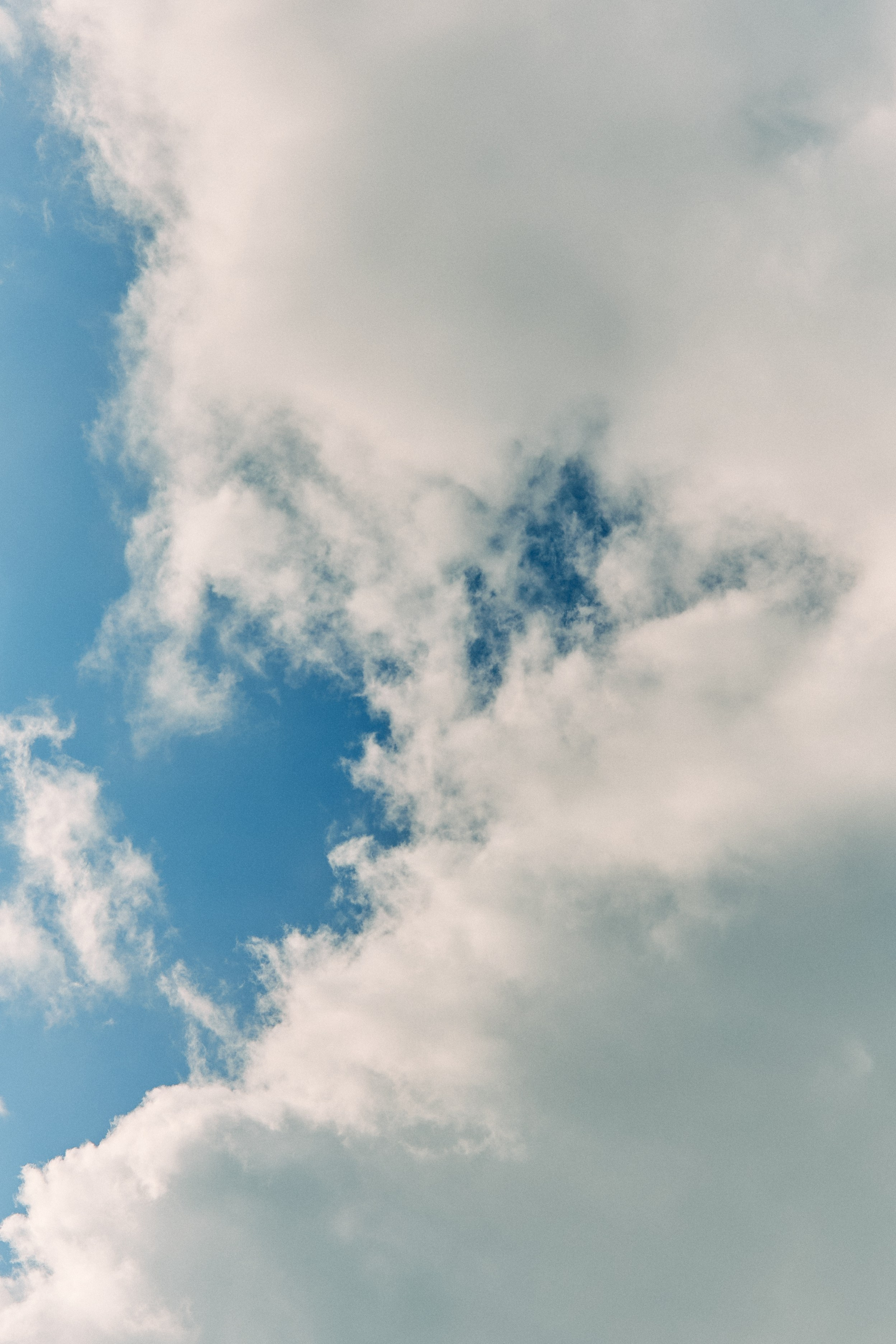 Юг России. Профессиональный Фотограф во Владимире, в Москве и в Суздале — Полина Романычева