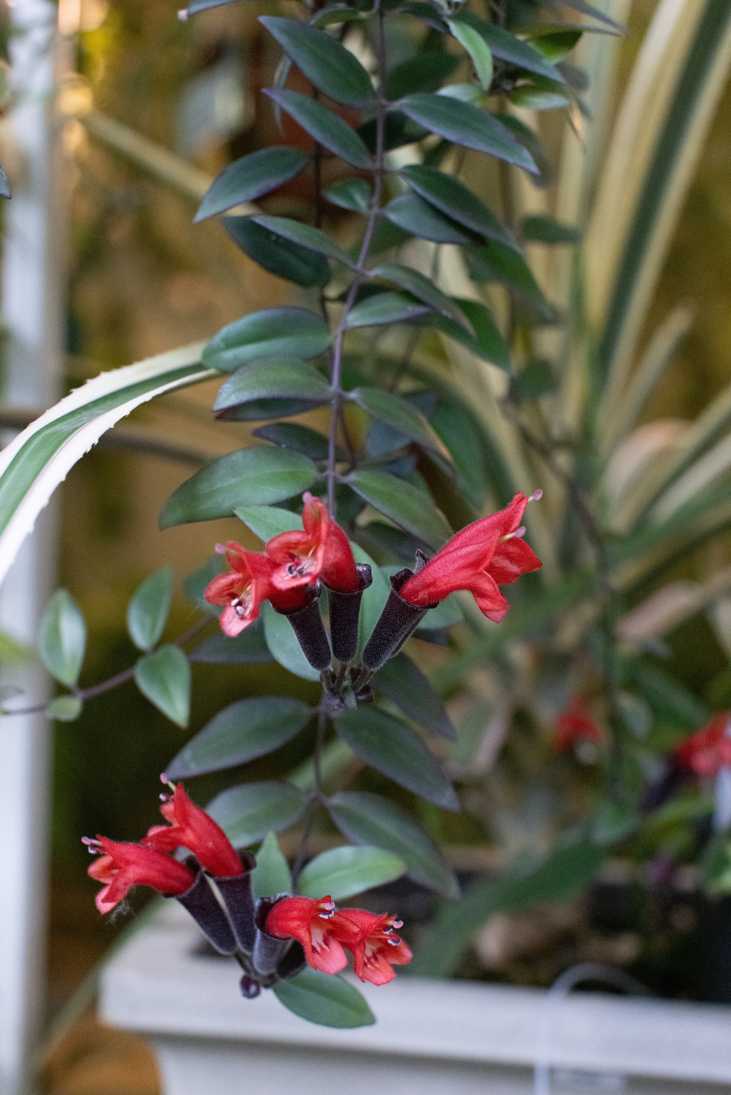 Фото Москвы. Студия Максима Белослюдцева