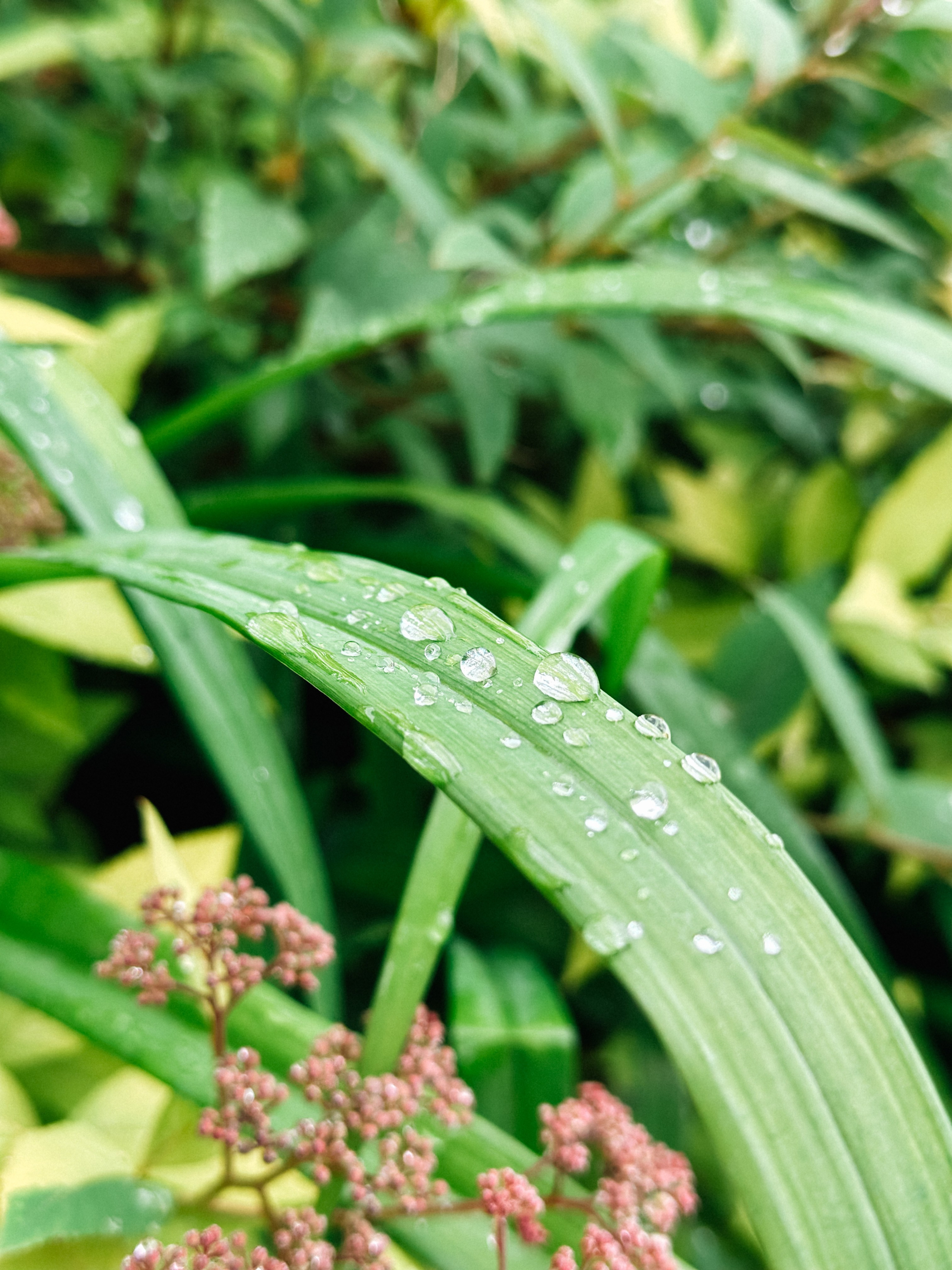 Природа. Команда фотографов Кристины Ивановой