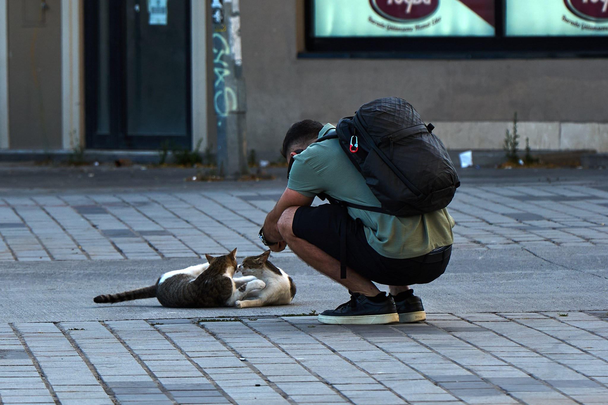 Istanbul. Mike Tanner