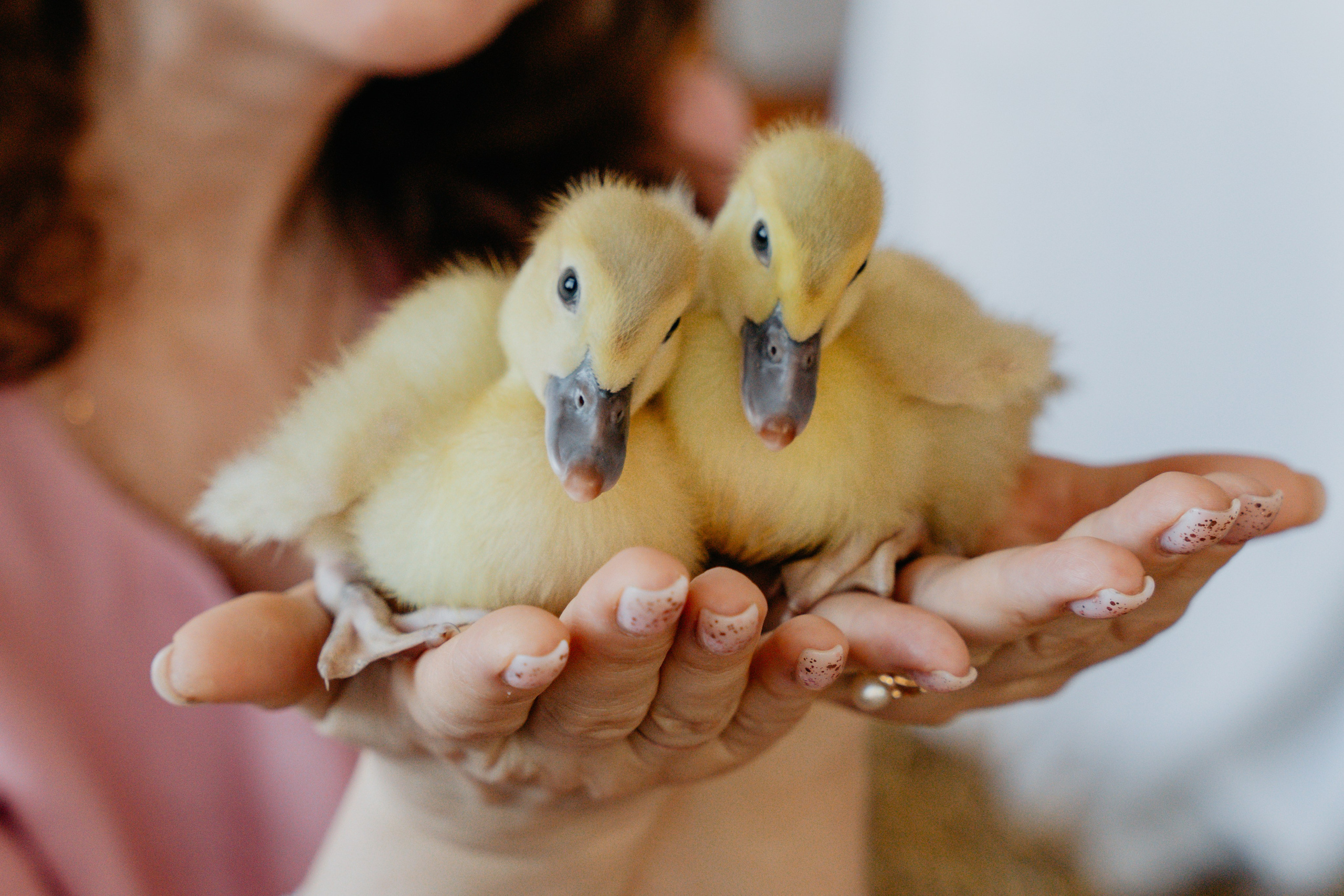 Любовь на 33 года вместе