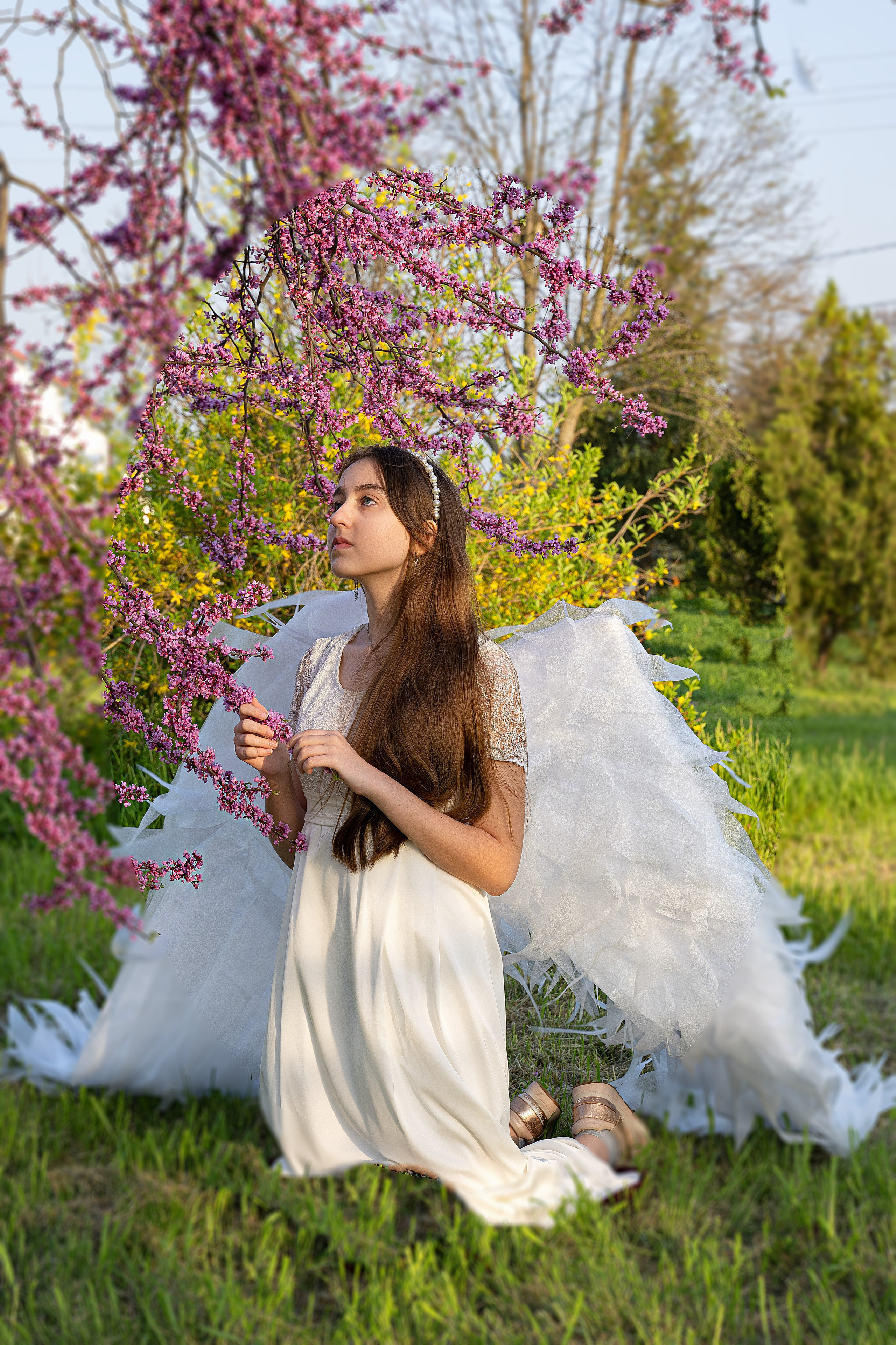 Крылатые истории. Главная