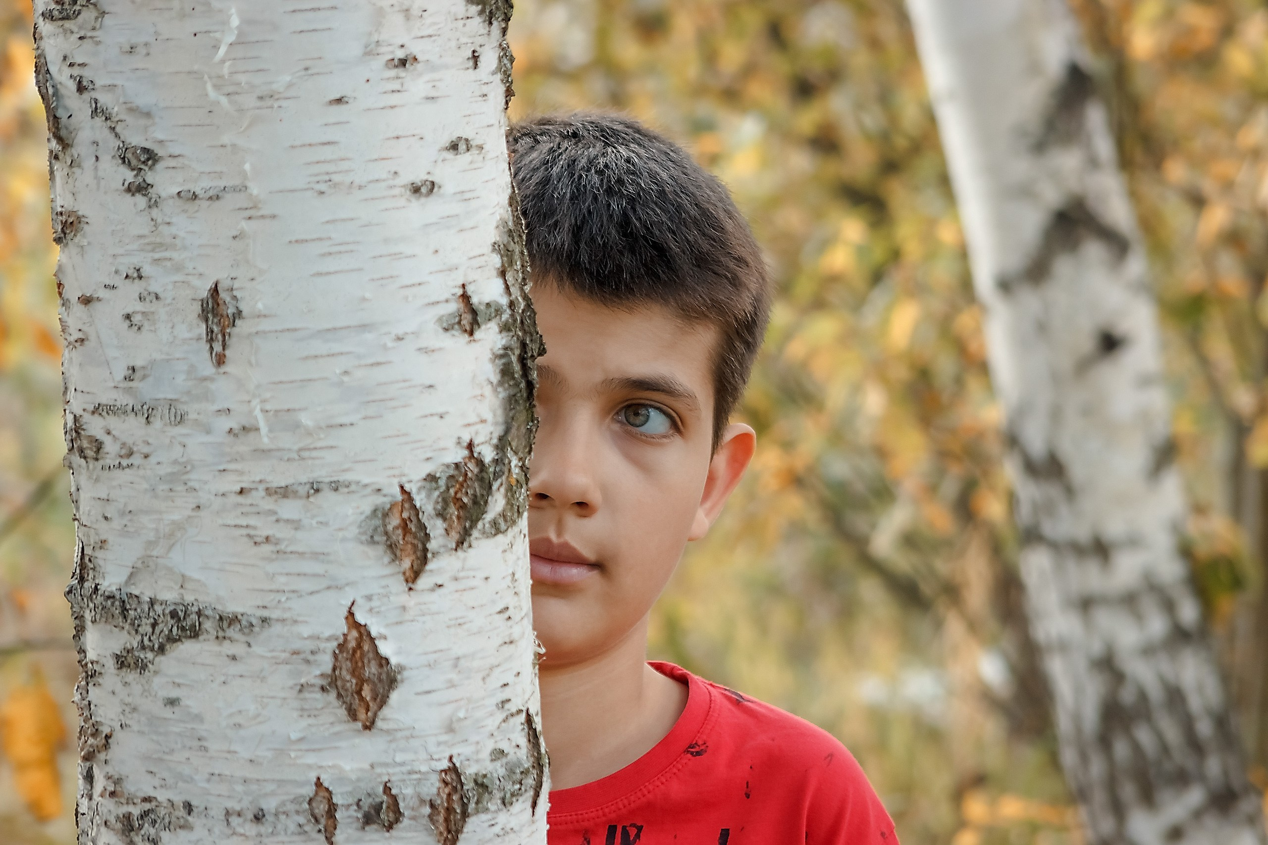 Глаза в Глаза. Аmat Victoria Сuram