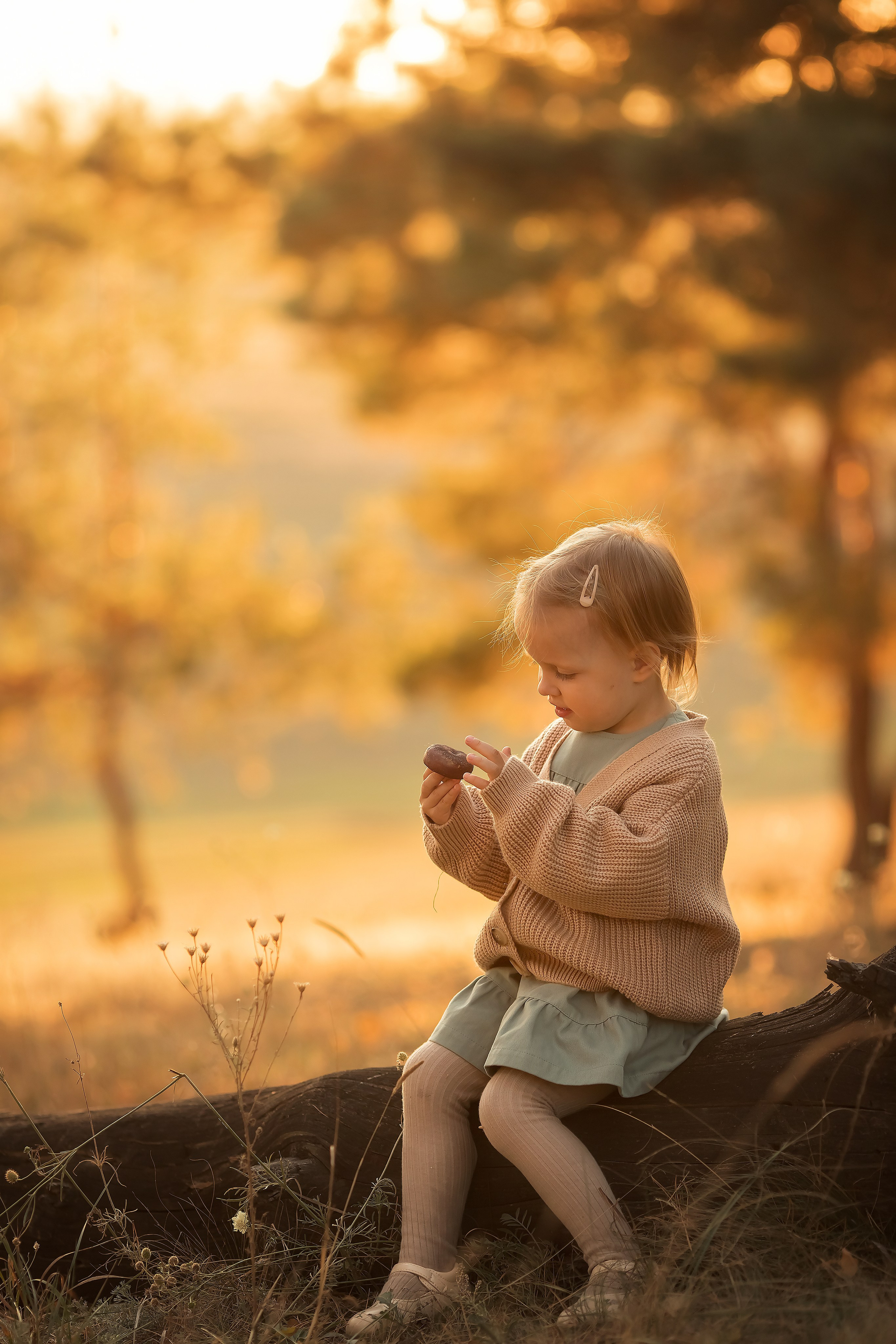 Лесная прогулка. Семейный и детский фотограф в Саратове Полина Коткина