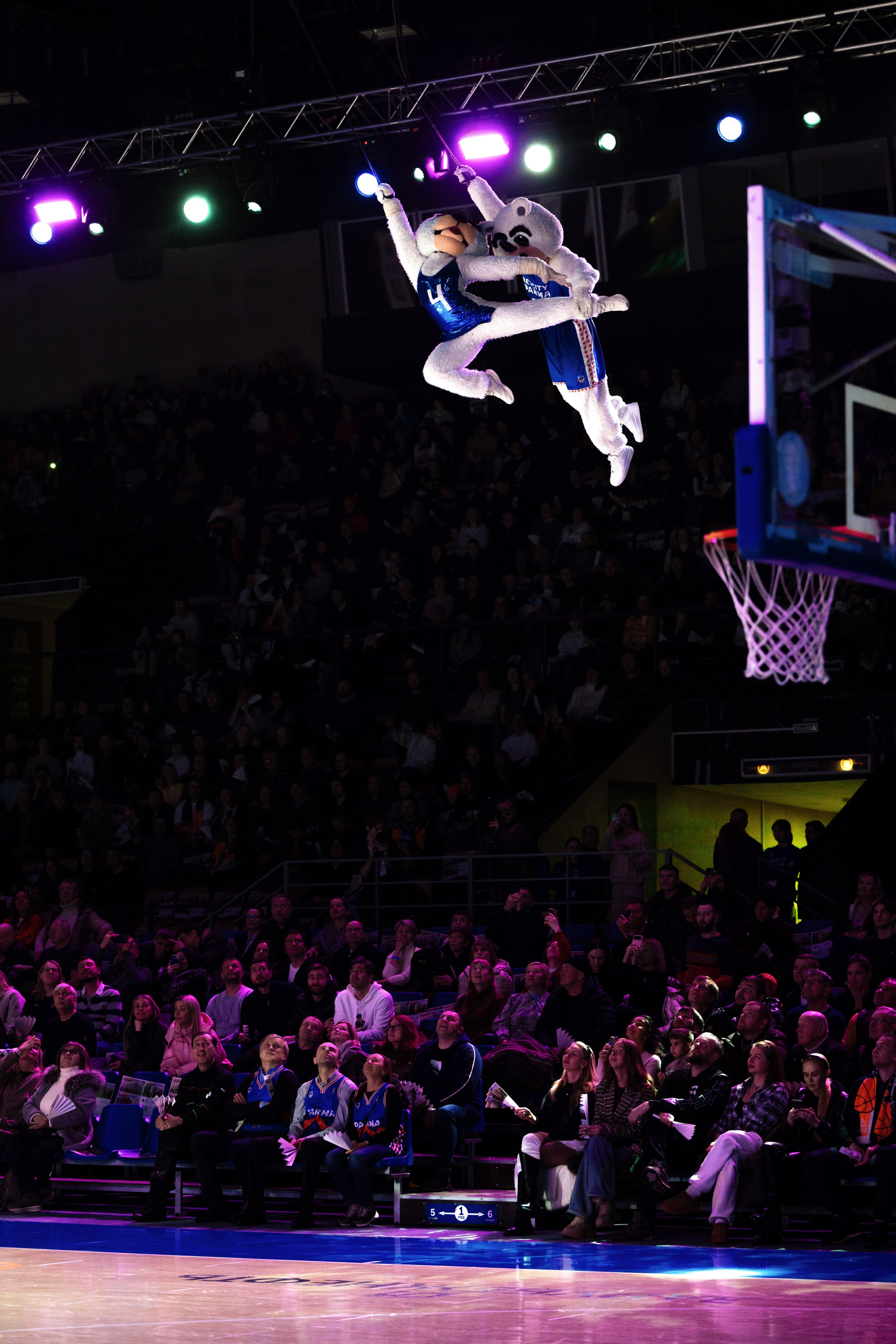 БЕТСИТИ ПАРМА — Локомотив-Кубань. Репортажный фотограф