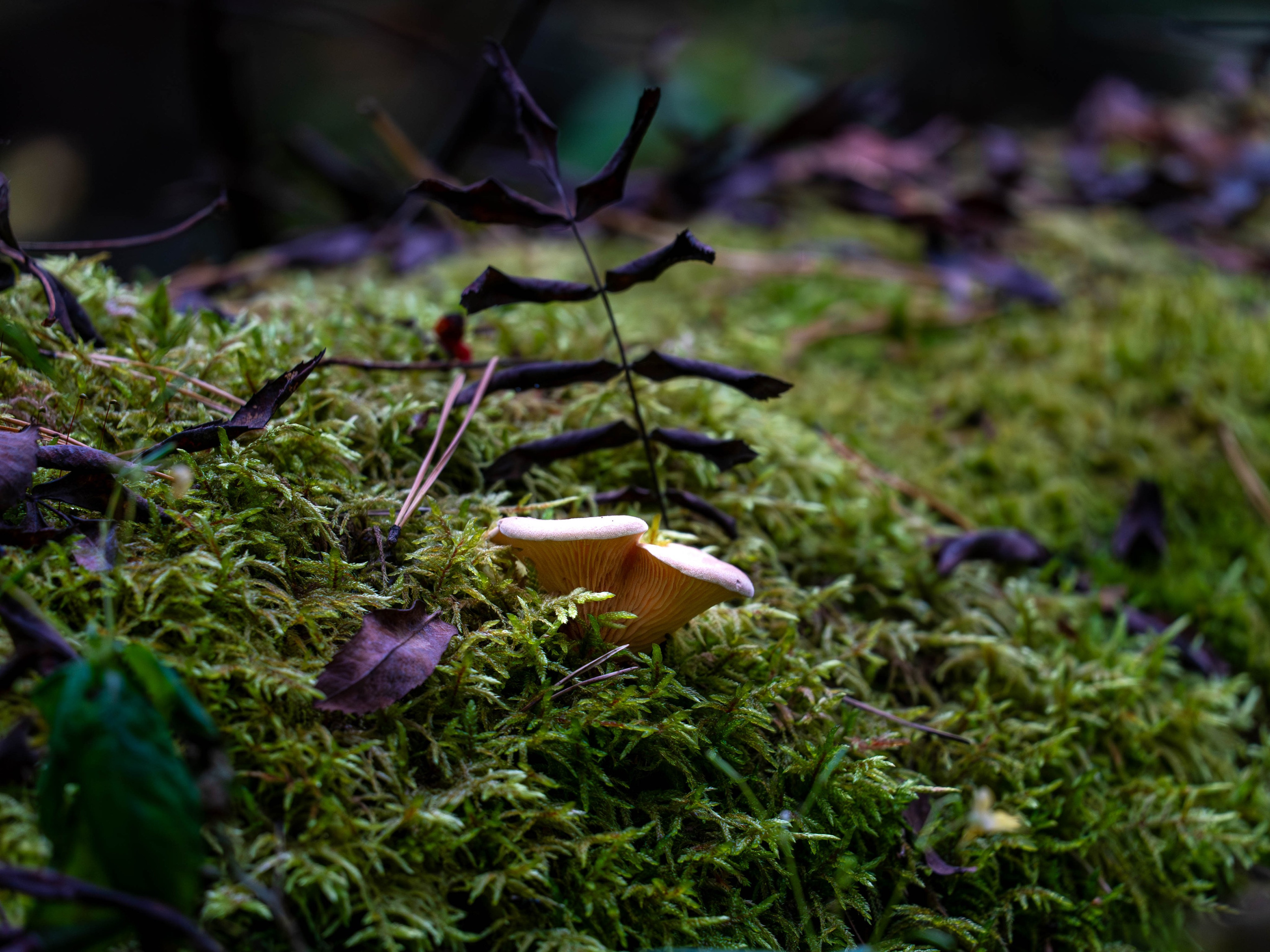 Стрит‑фото: жизнь города в кадре — реальные моменты. FM Media Сrew. Репортажные фото и видео