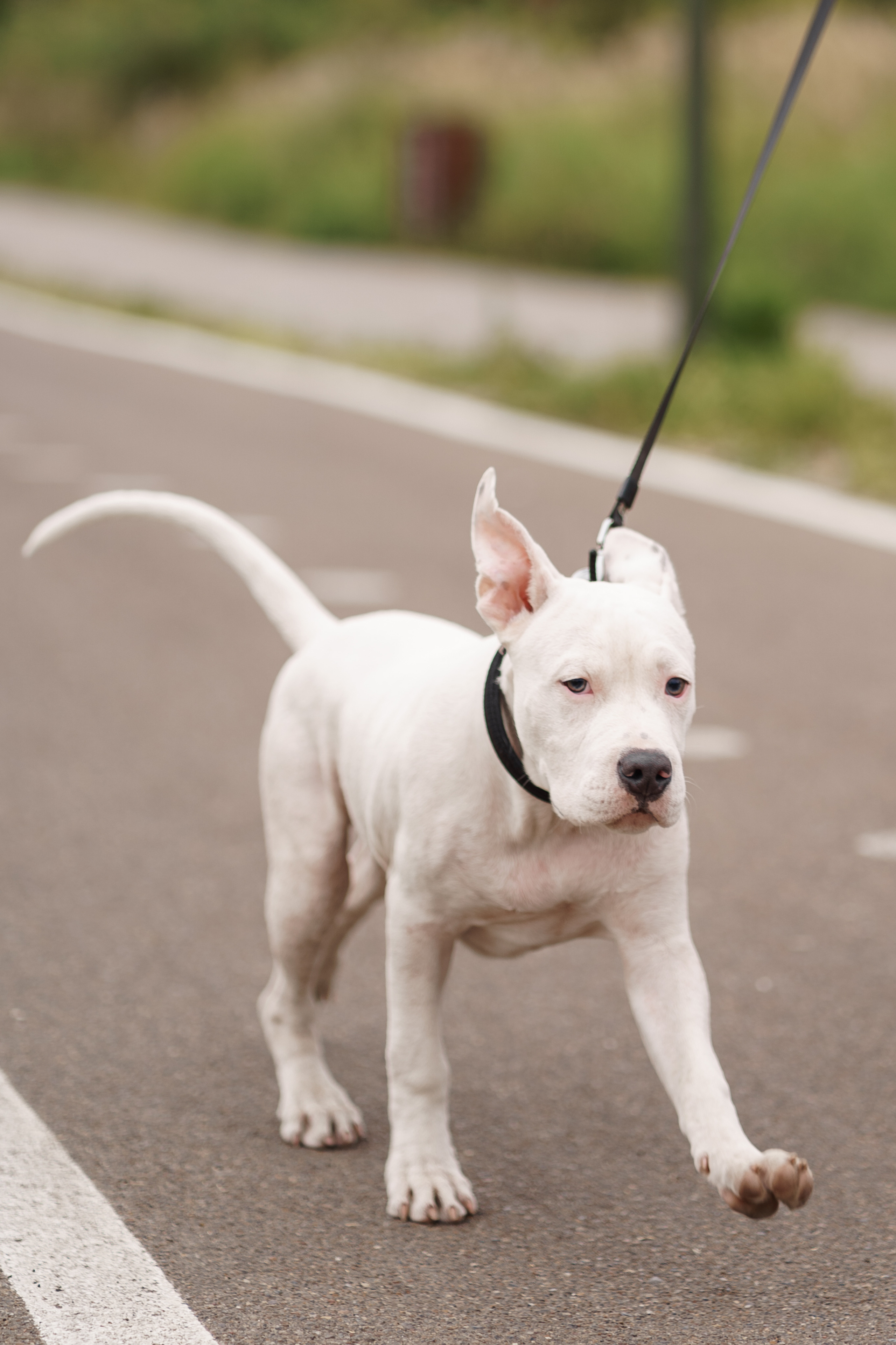 Благотворительная съемка ICL. Мира Назарова / Фотограф / Специалист по личному