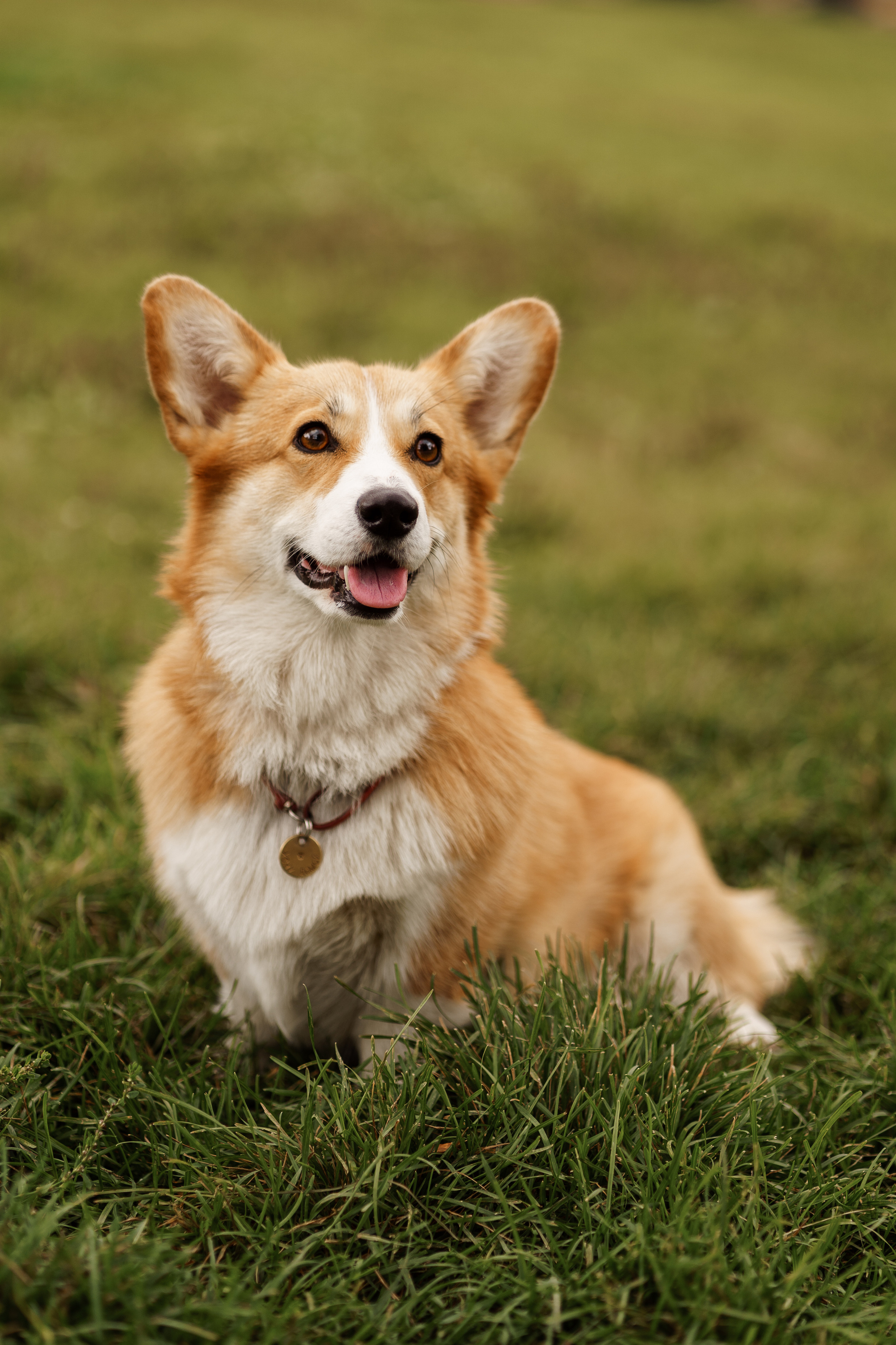 Благотворительная съемка ICL. Мира Назарова / Фотограф / Специалист по личному