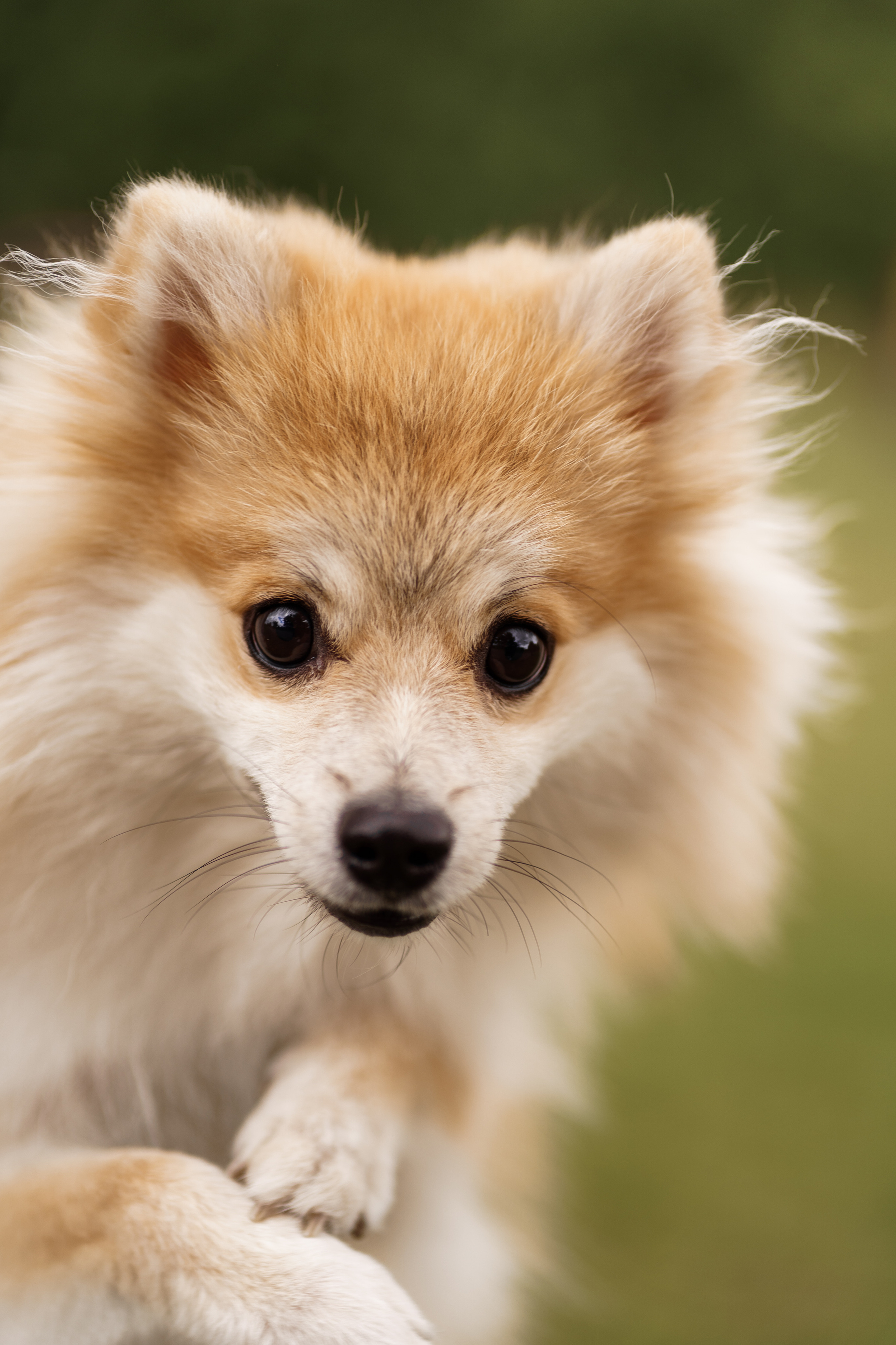 Благотворительная съемка ICL. Мира Назарова / Фотограф / Специалист по личному