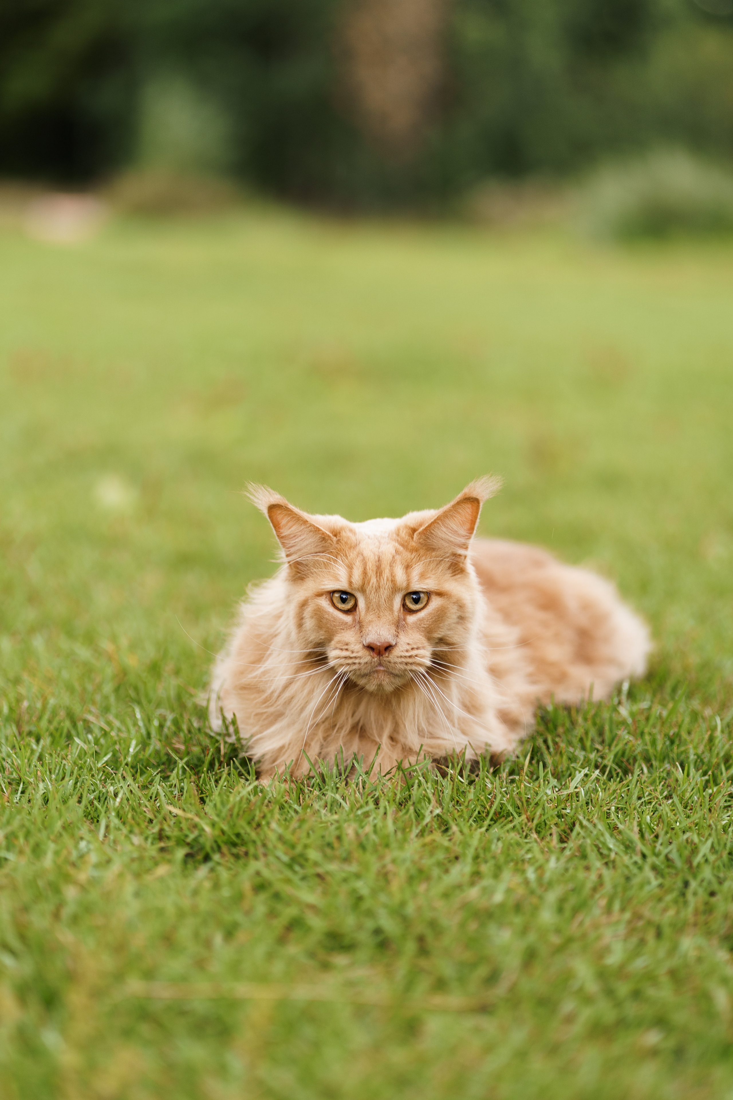 Благотворительная съемка ICL. Мира Назарова / Фотограф / Специалист по личному