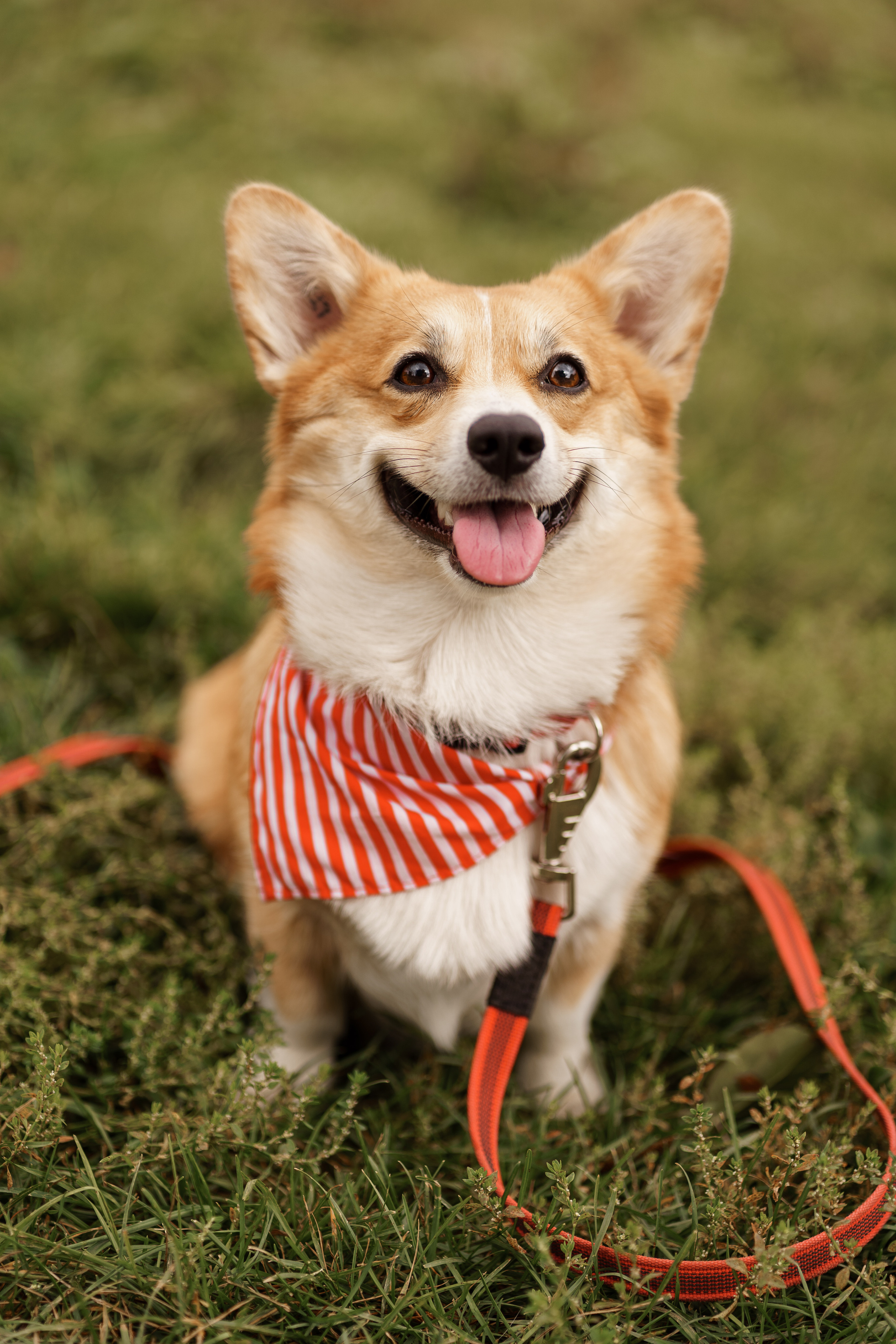 Благотворительная съемка ICL. Мира Назарова / Фотограф / Специалист по личному