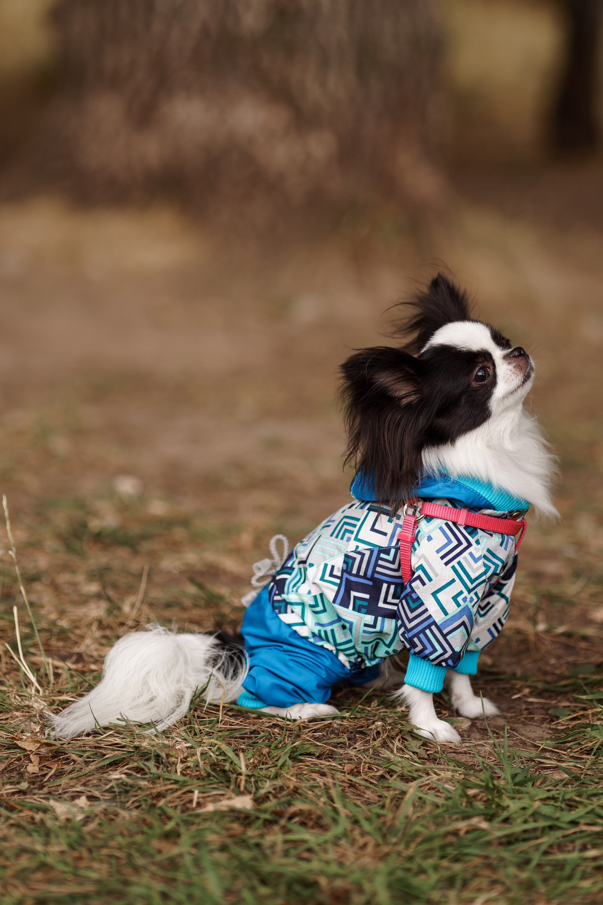 Благотворительная съемка ICL. Мира Назарова / Фотограф / Специалист по личному