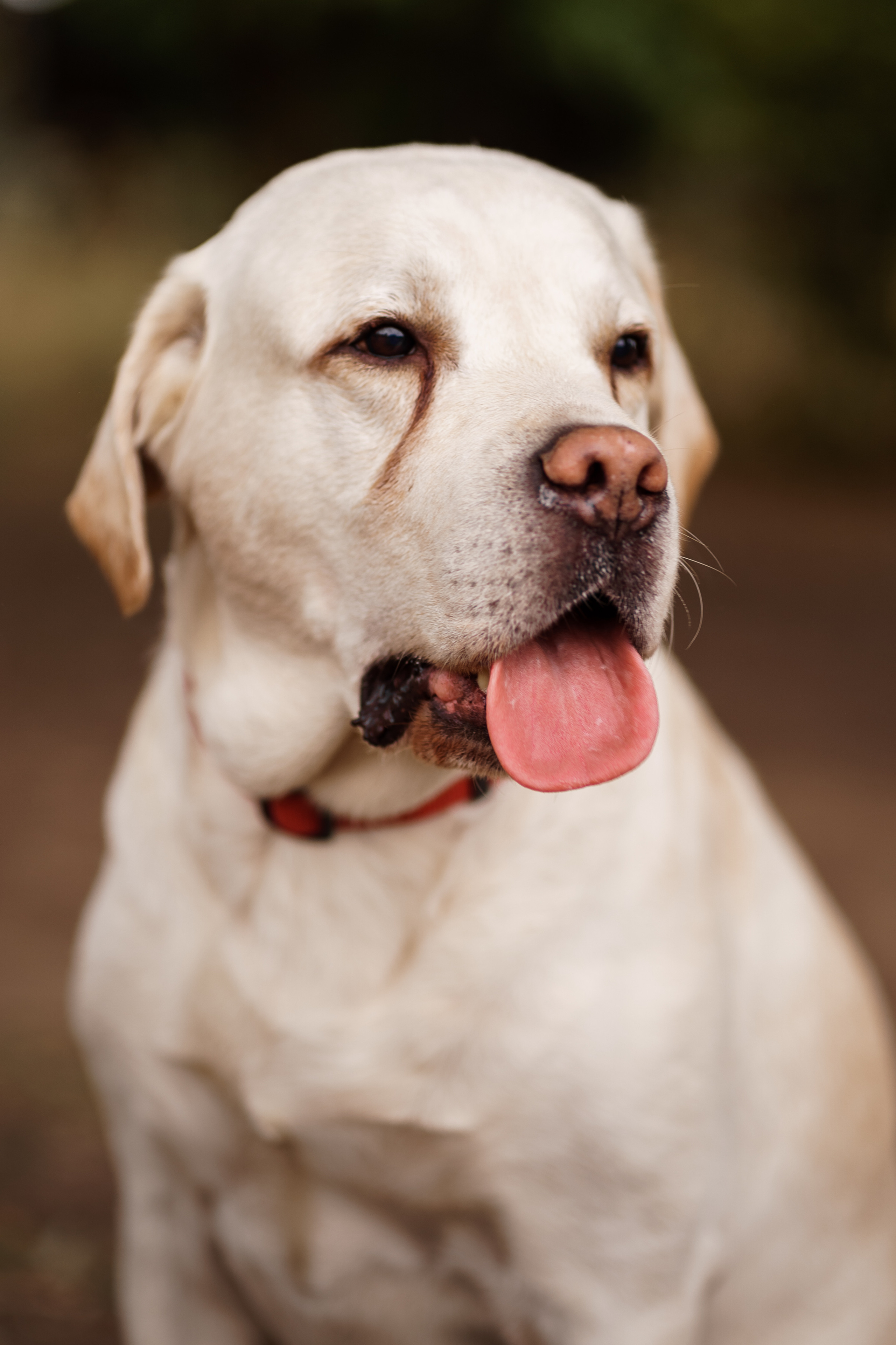 Благотворительная съемка ICL. Мира Назарова / Фотограф / Специалист по личному
