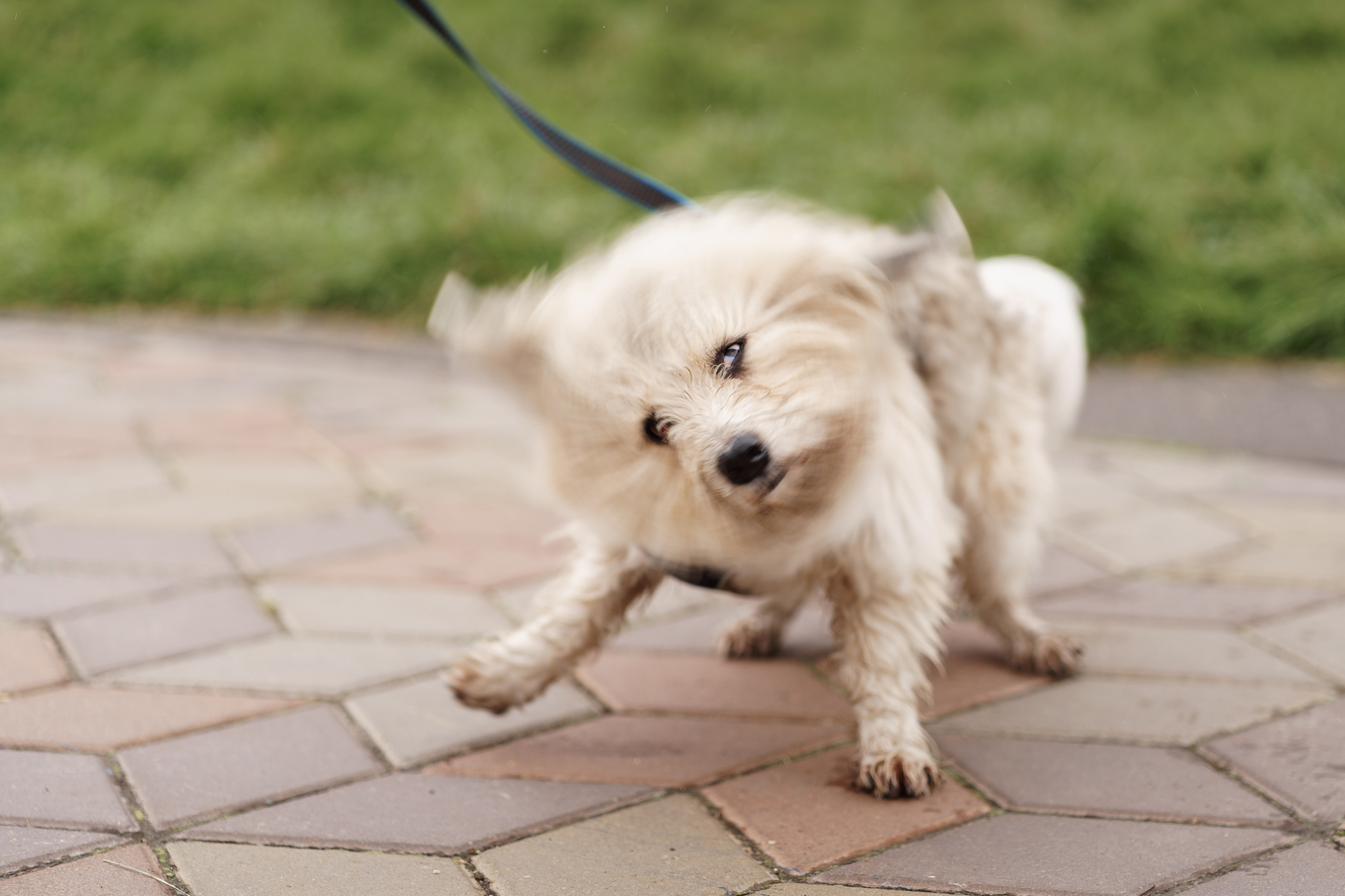Благотворительная съемка ICL. Мира Назарова / Фотограф / Специалист по личному