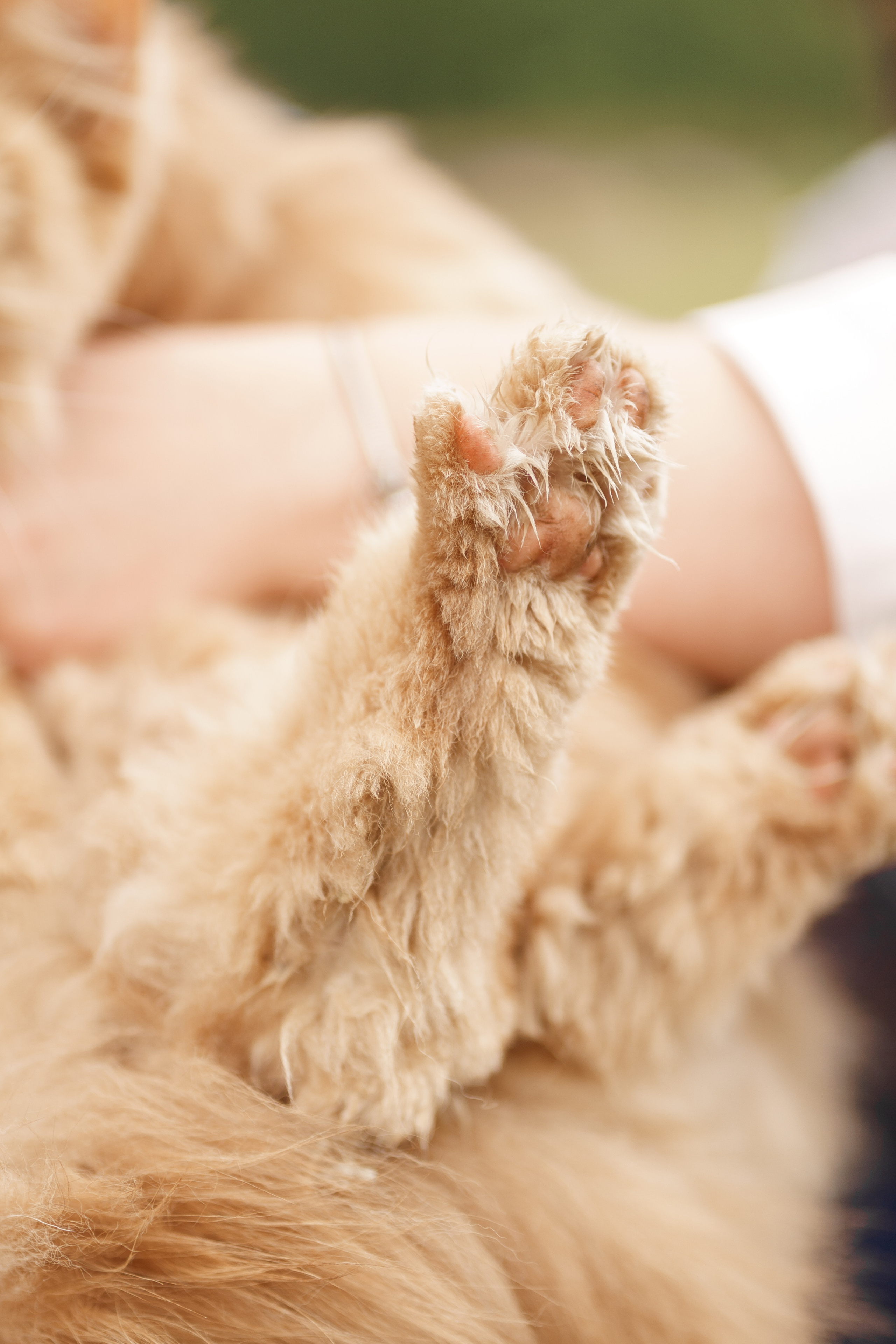 Благотворительная съемка ICL. Мира Назарова / Фотограф / Специалист по личному