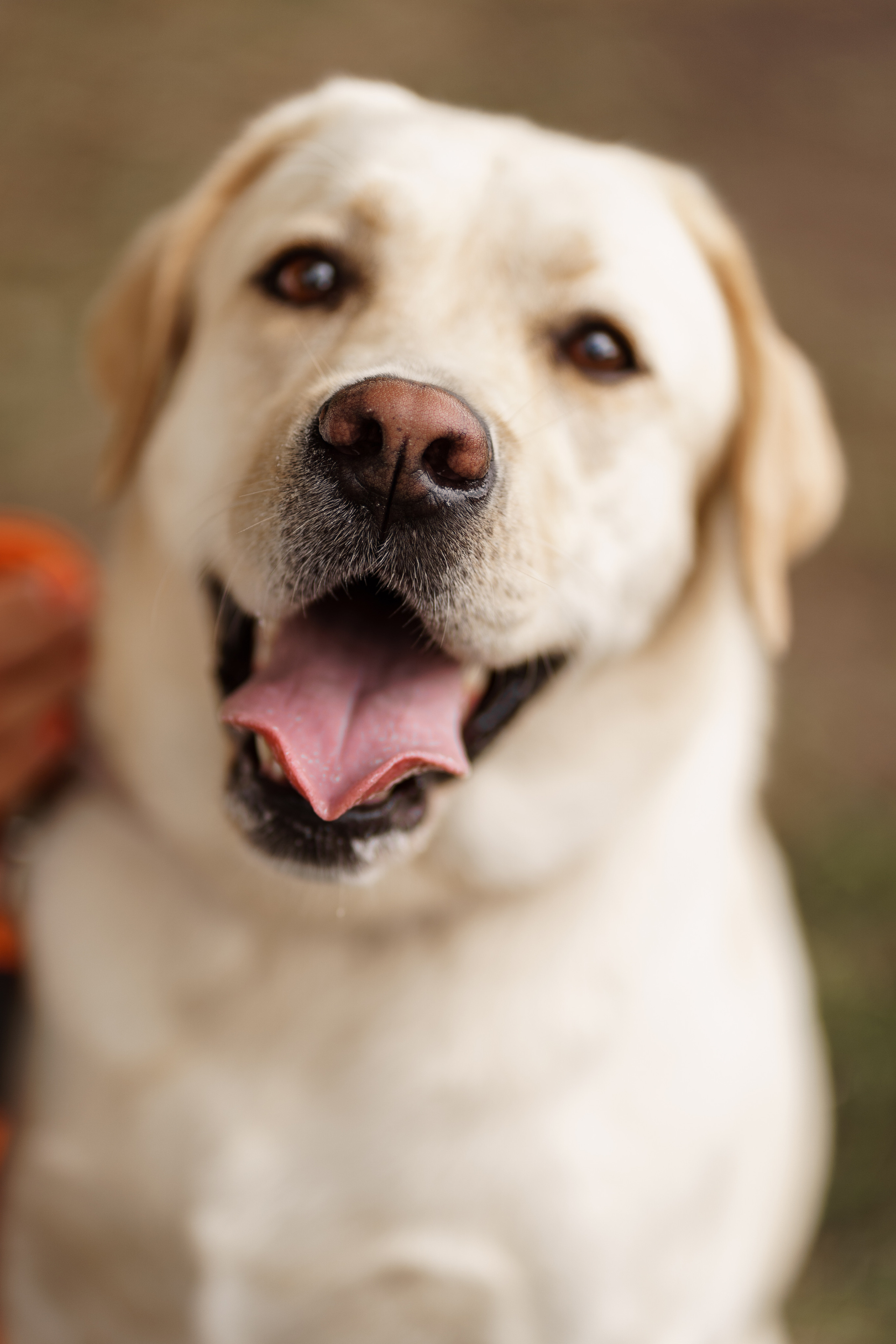 Благотворительная съемка ICL. Мира Назарова / Фотограф / Специалист по личному