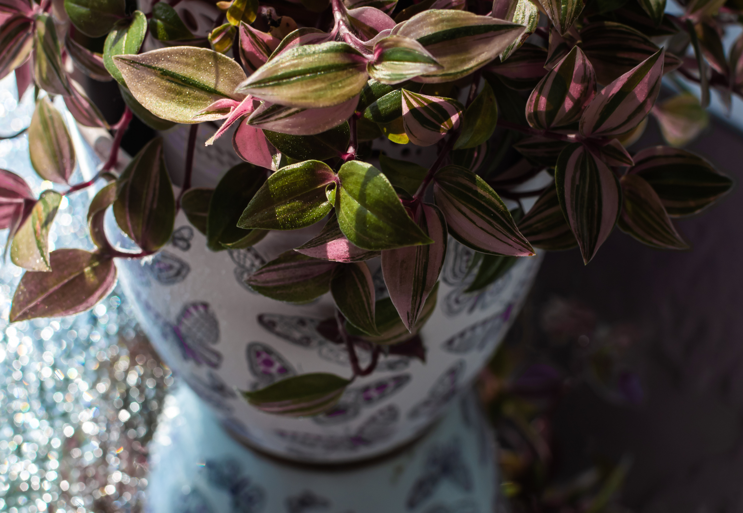 Атмосфера. Предметный и контентный фотограф в Москве и Зеленограде Анастасиевская