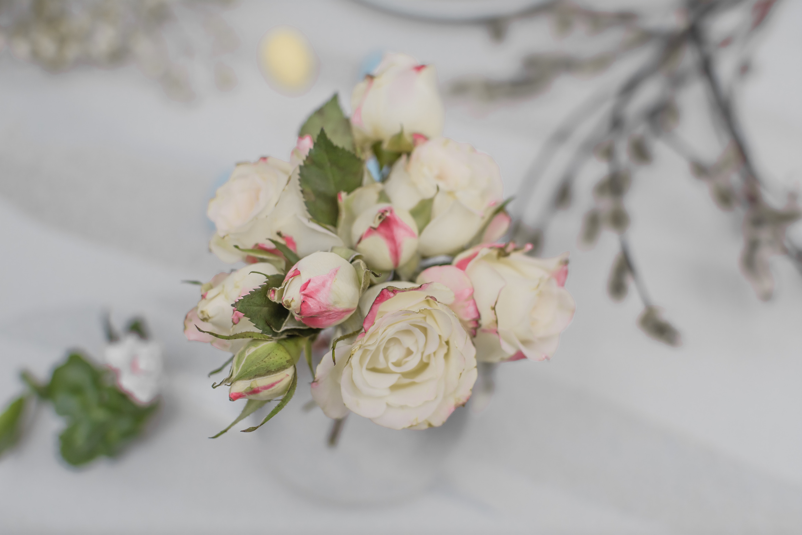 Атмосфера. Предметный и контентный фотограф в Москве и Зеленограде Анастасиевская