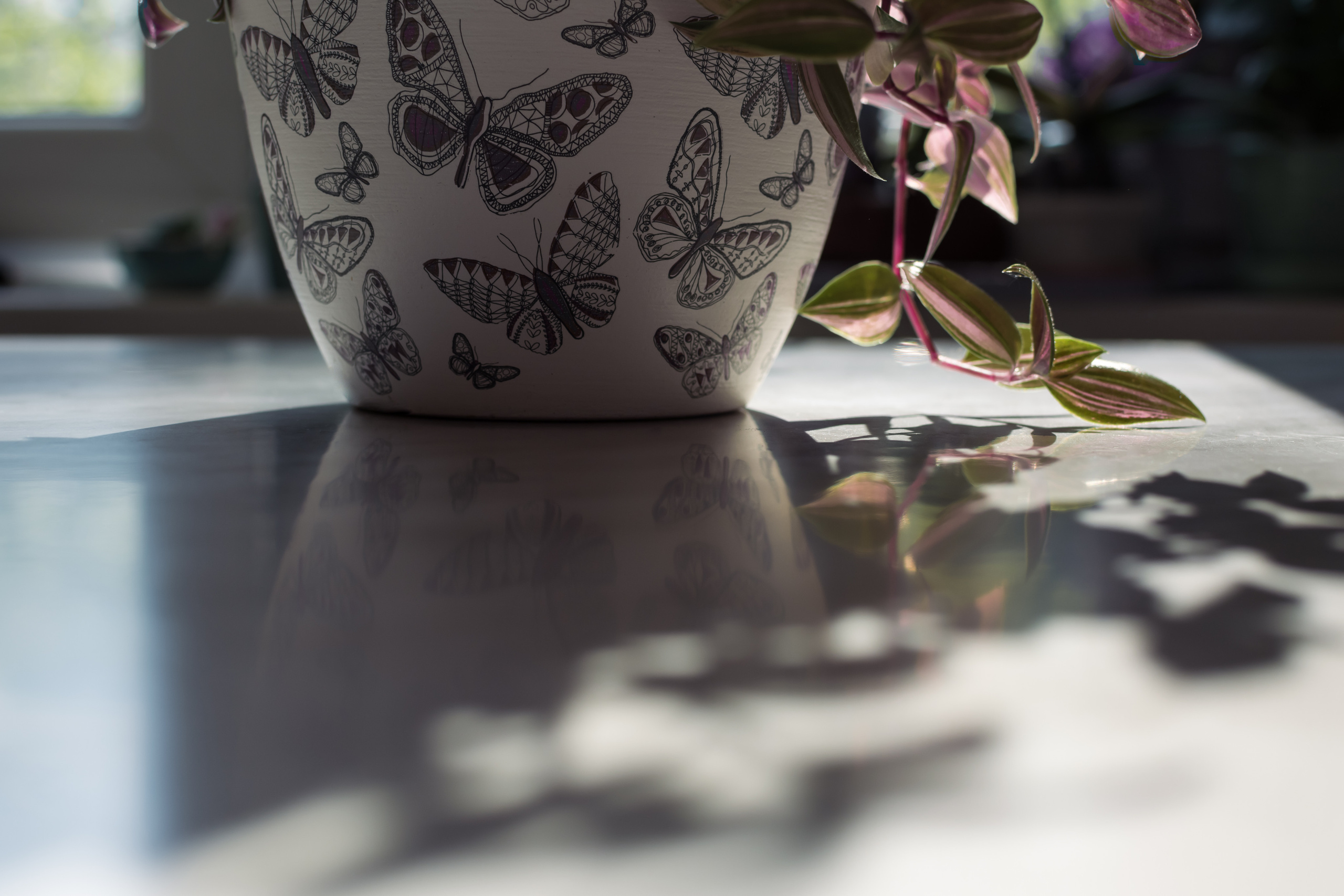 Атмосфера. Предметный и контентный фотограф в Москве и Зеленограде Анастасиевская